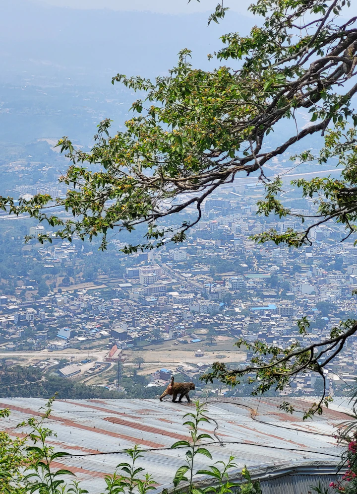 Kashmir beauty captured – Vellfire Holidays