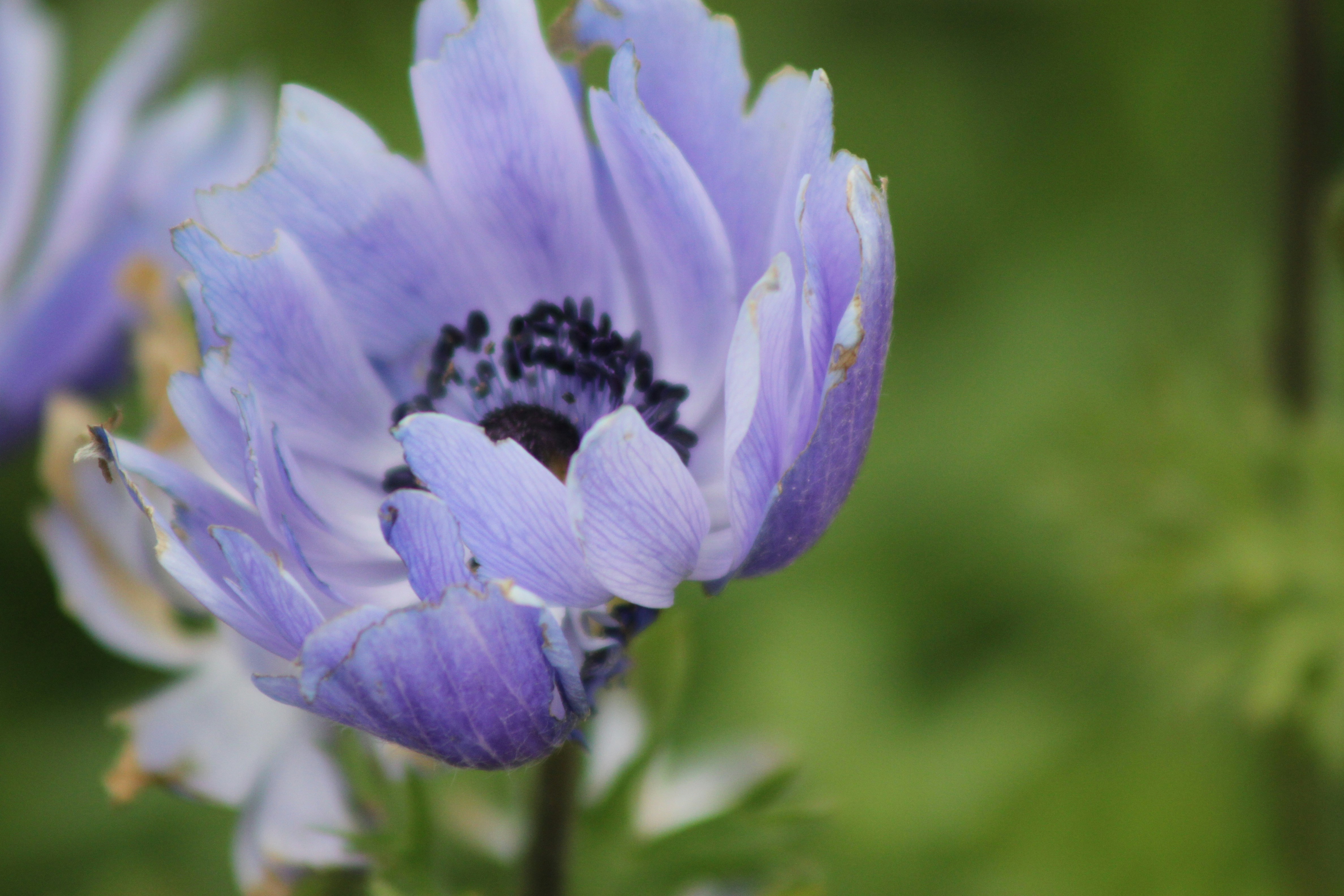 Photo by rubyphotography