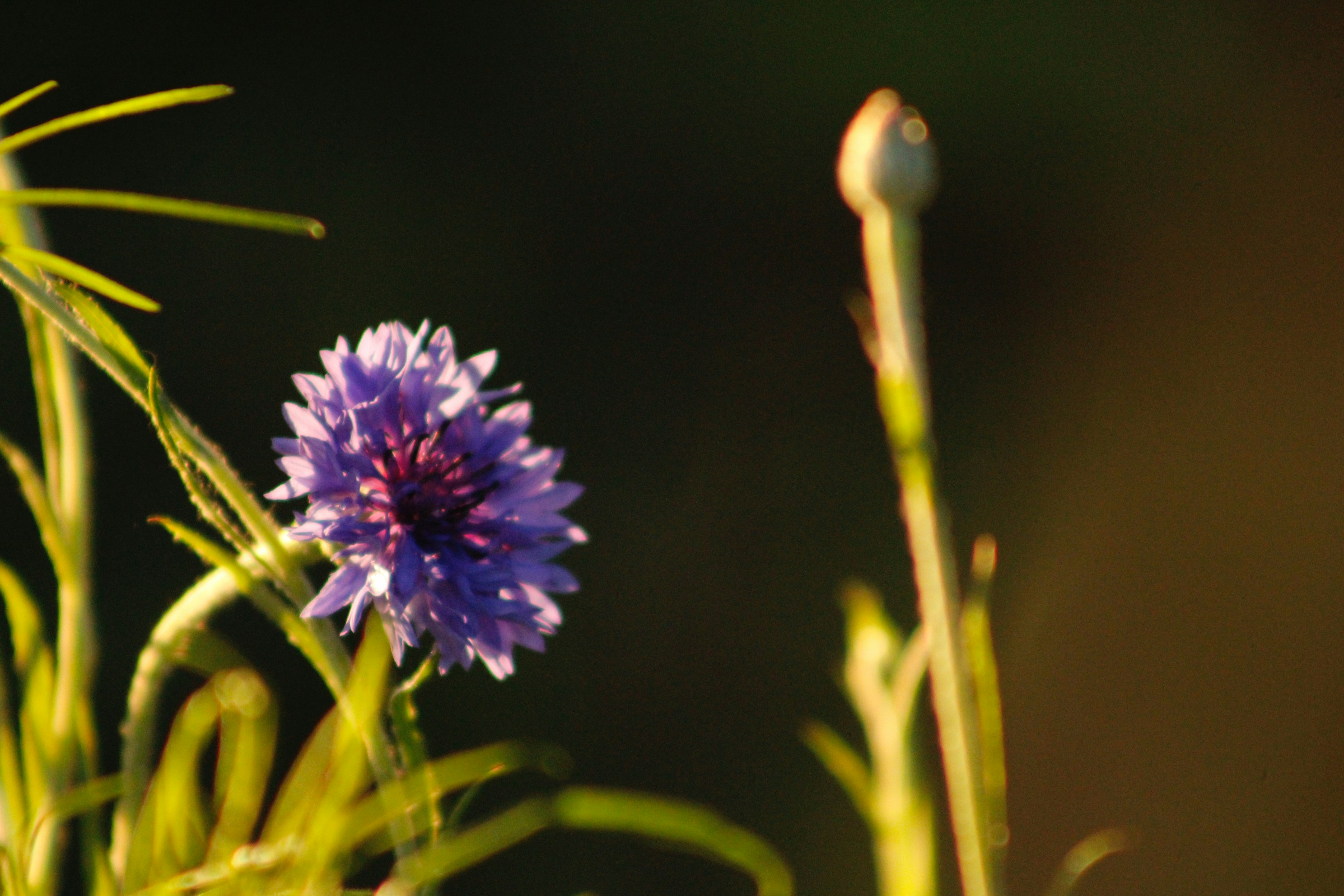 Photo by lisa_duqlaw