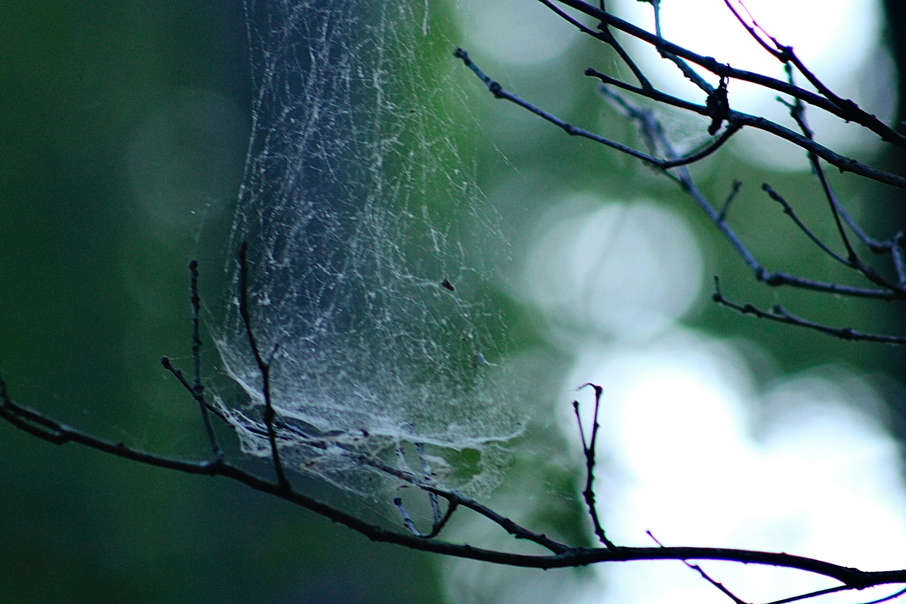 Photo by lisa_duqlaw