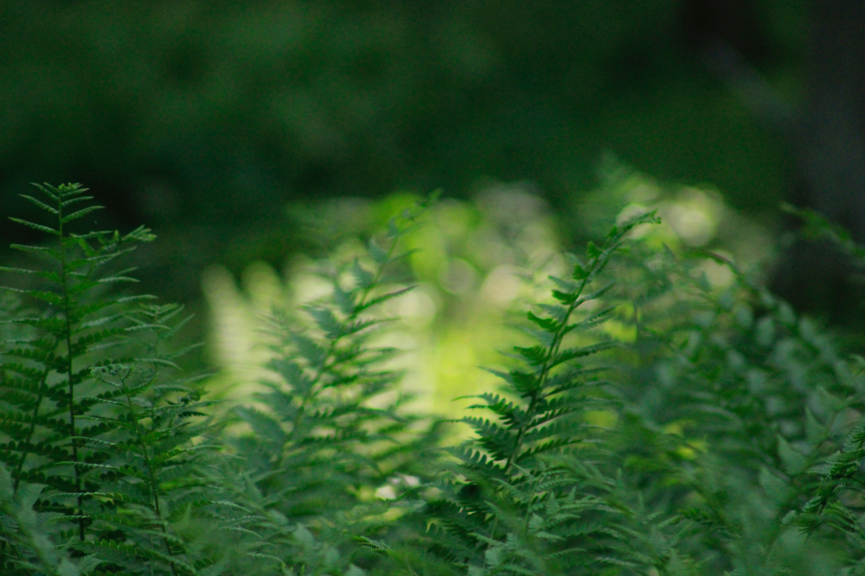 Photo by lisa_duqlaw