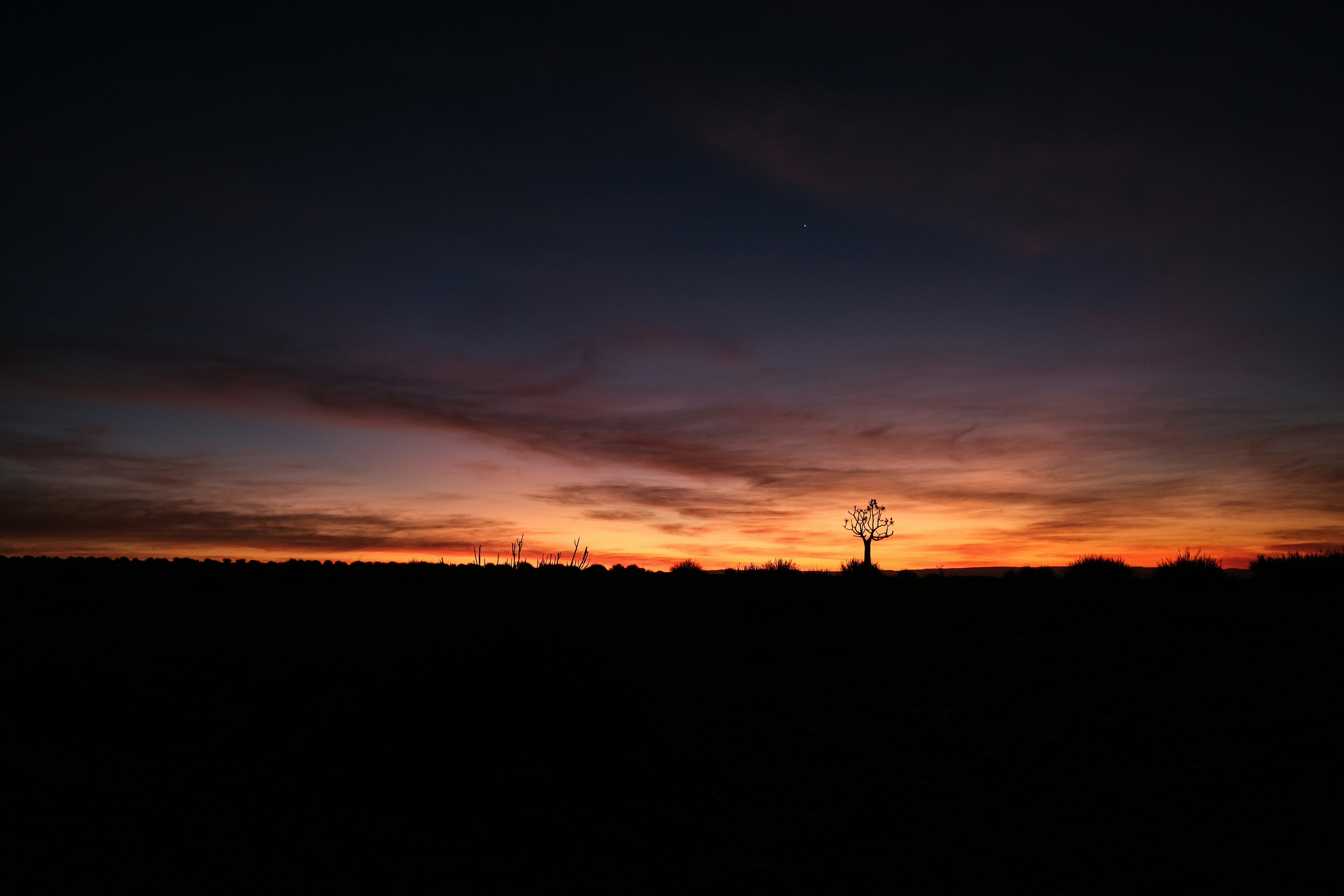 Photo by francesco_ungaro