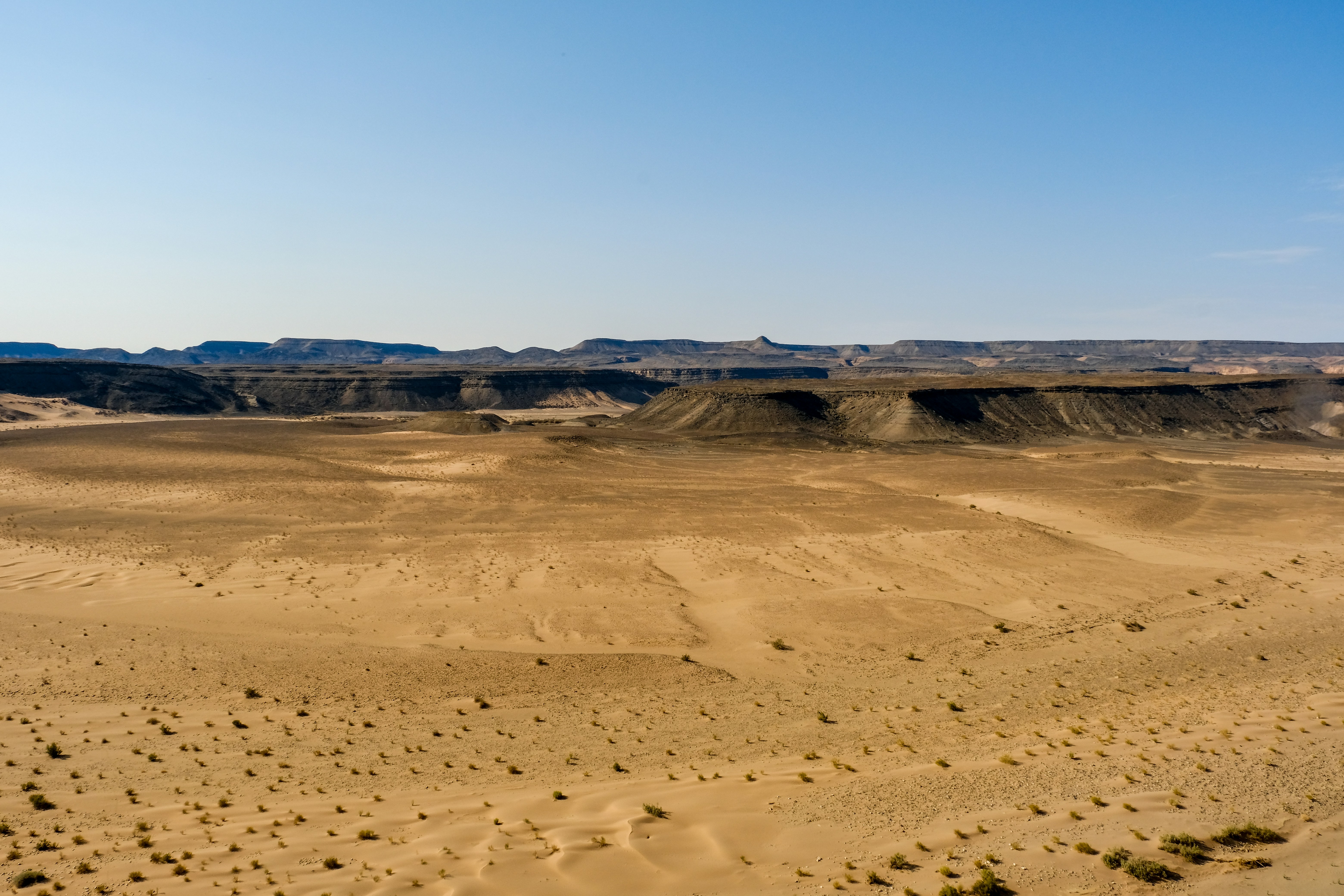 Photo by francesco_ungaro