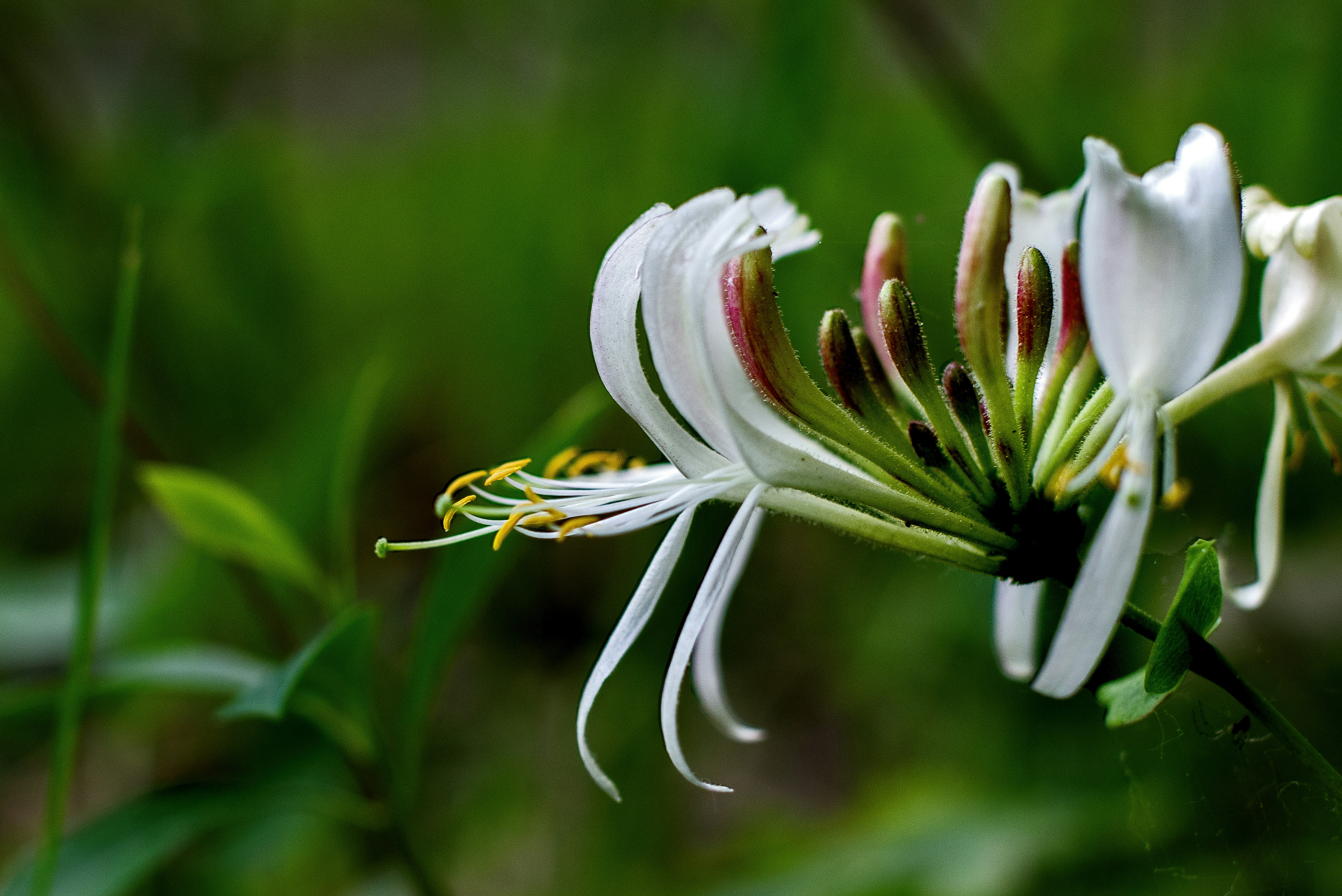 Photo by switch_dtp_fotografie