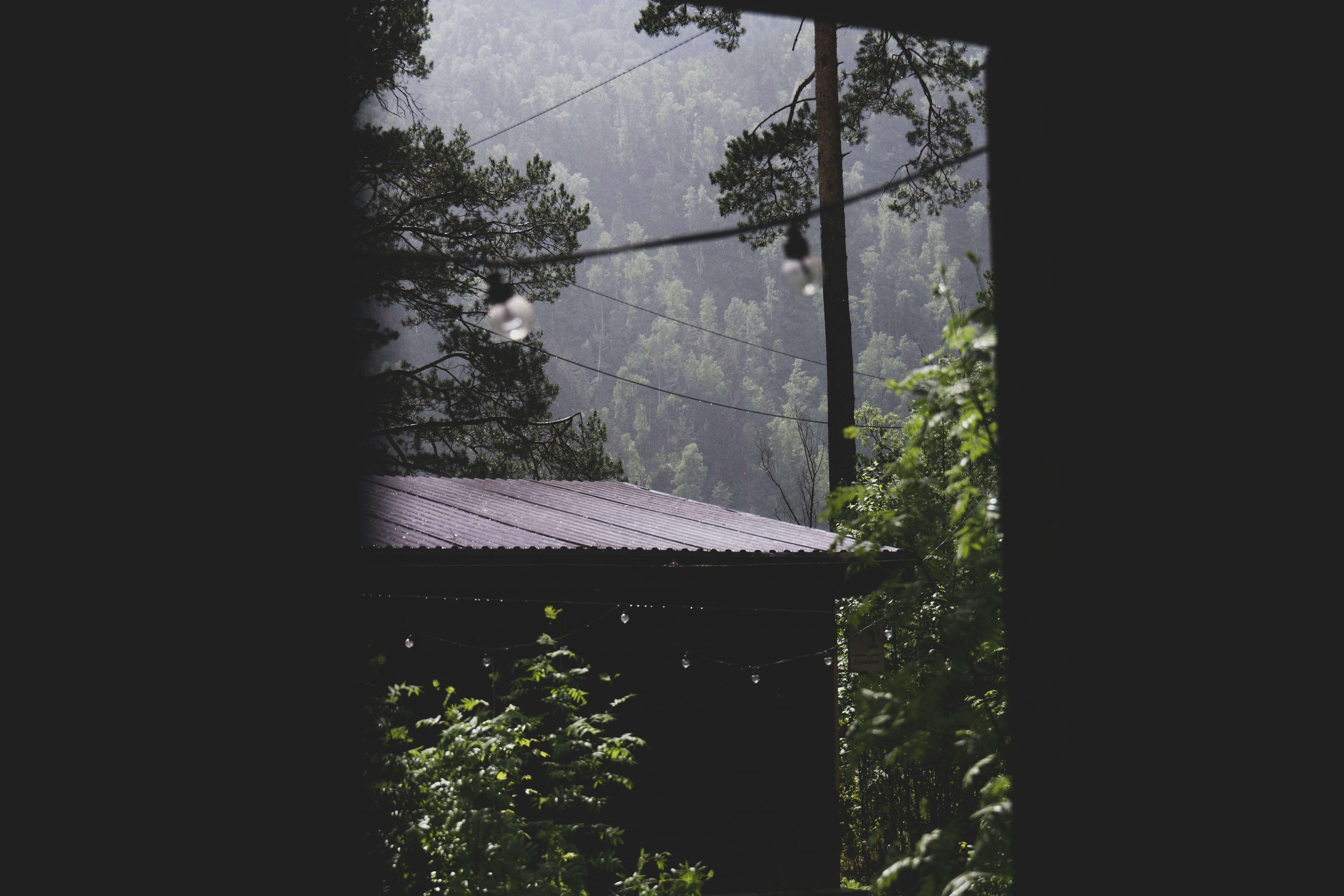 Photo by andreystrizhkov