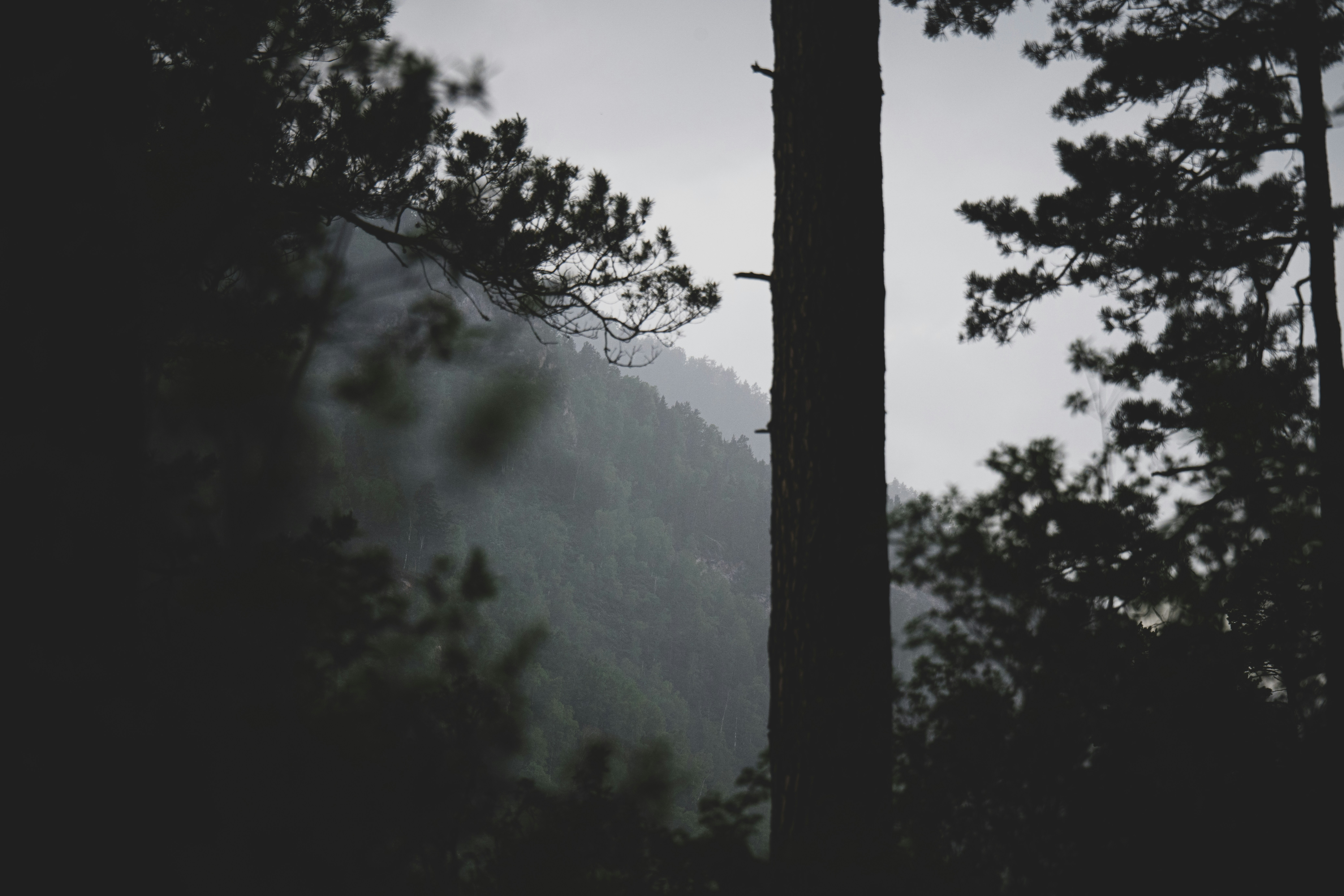 Photo by andreystrizhkov