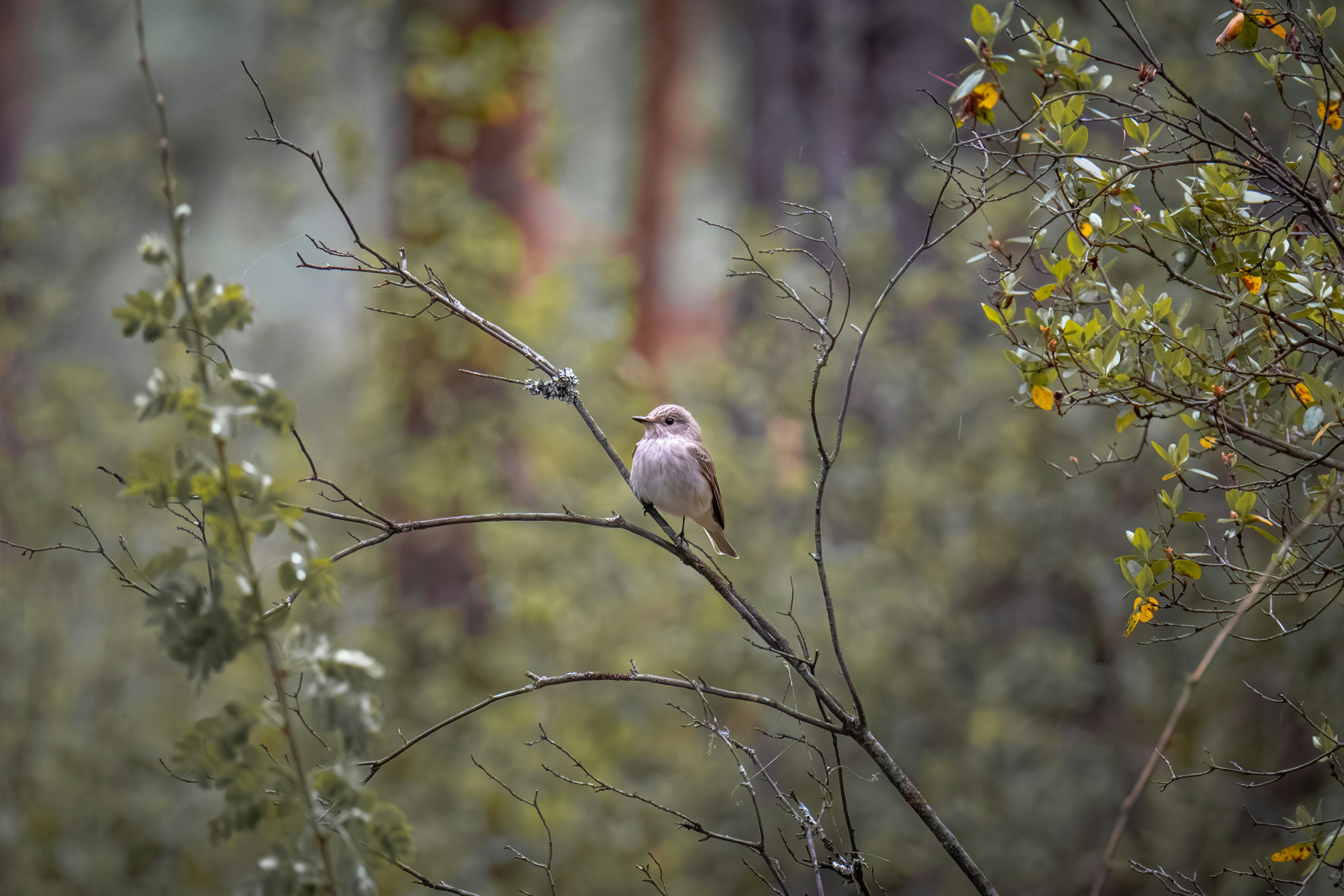 Photo by andreystrizhkov