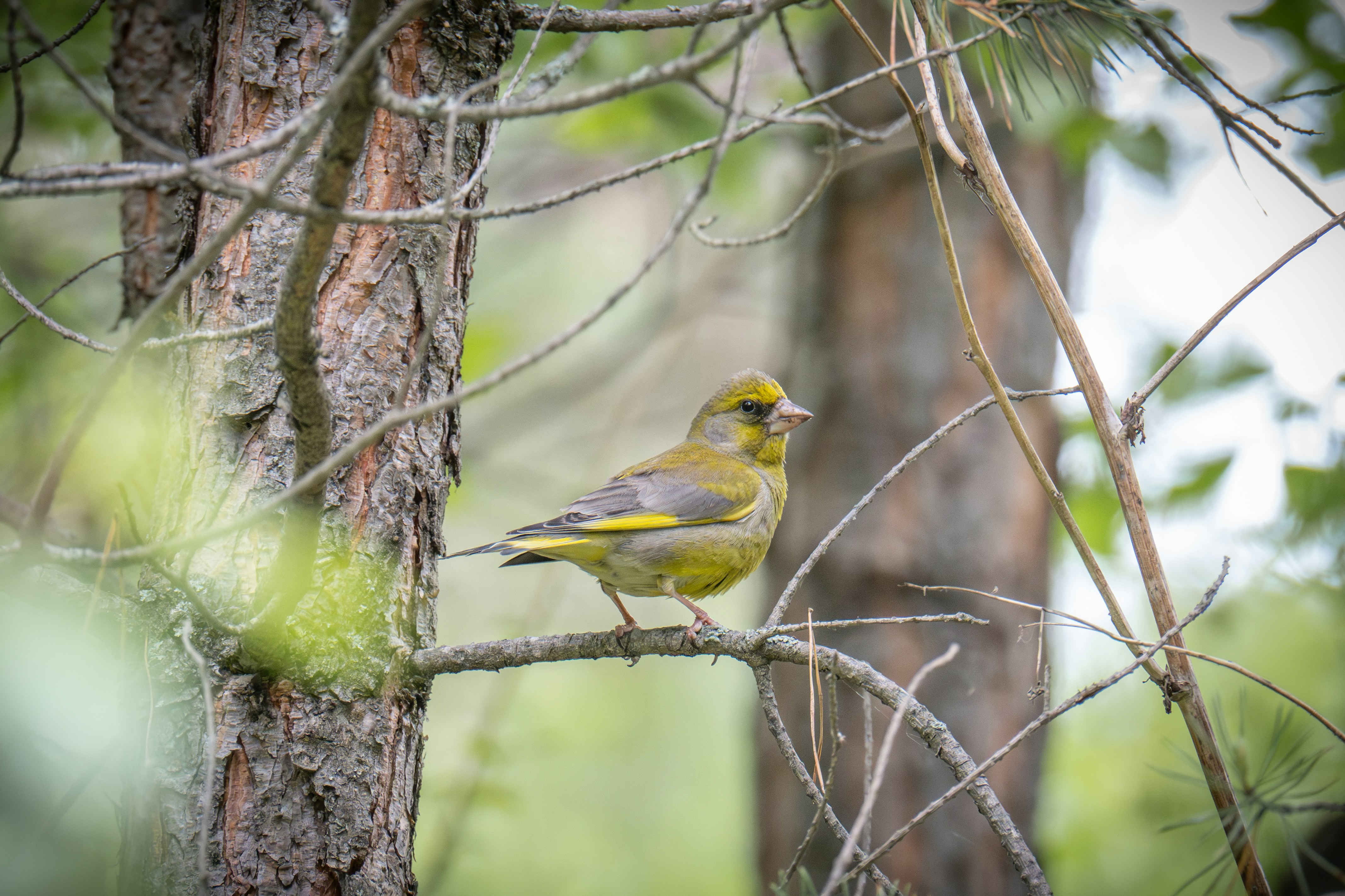 Photo by andreystrizhkov
