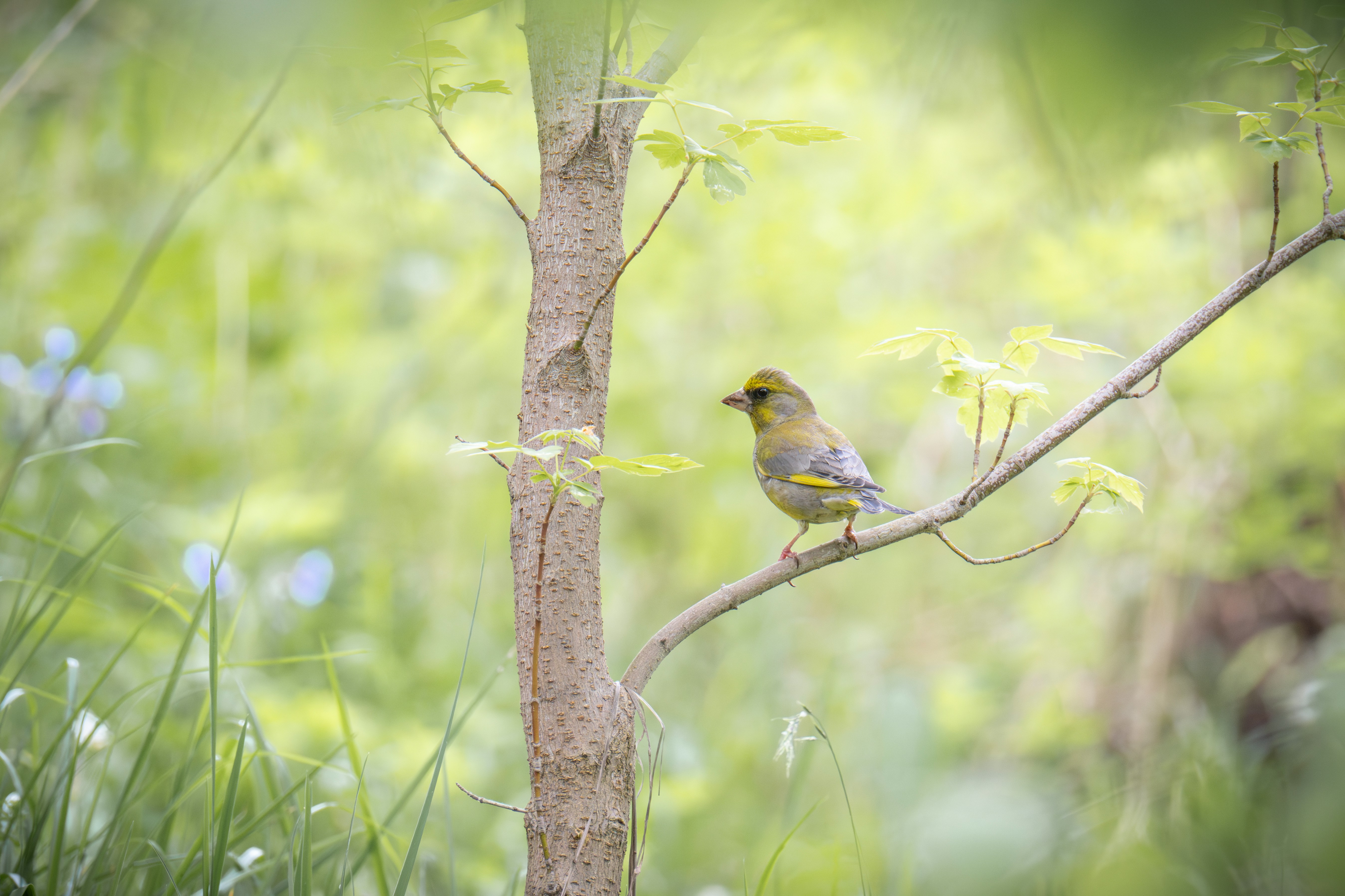 Photo by andreystrizhkov