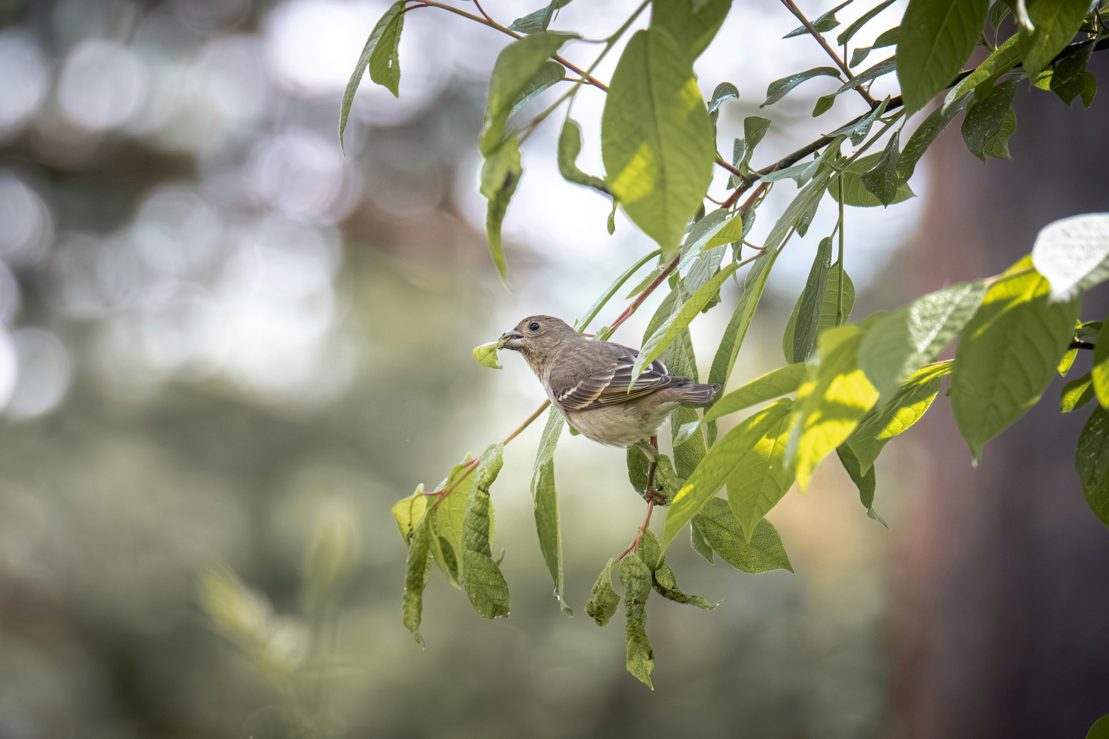 Photo by andreystrizhkov