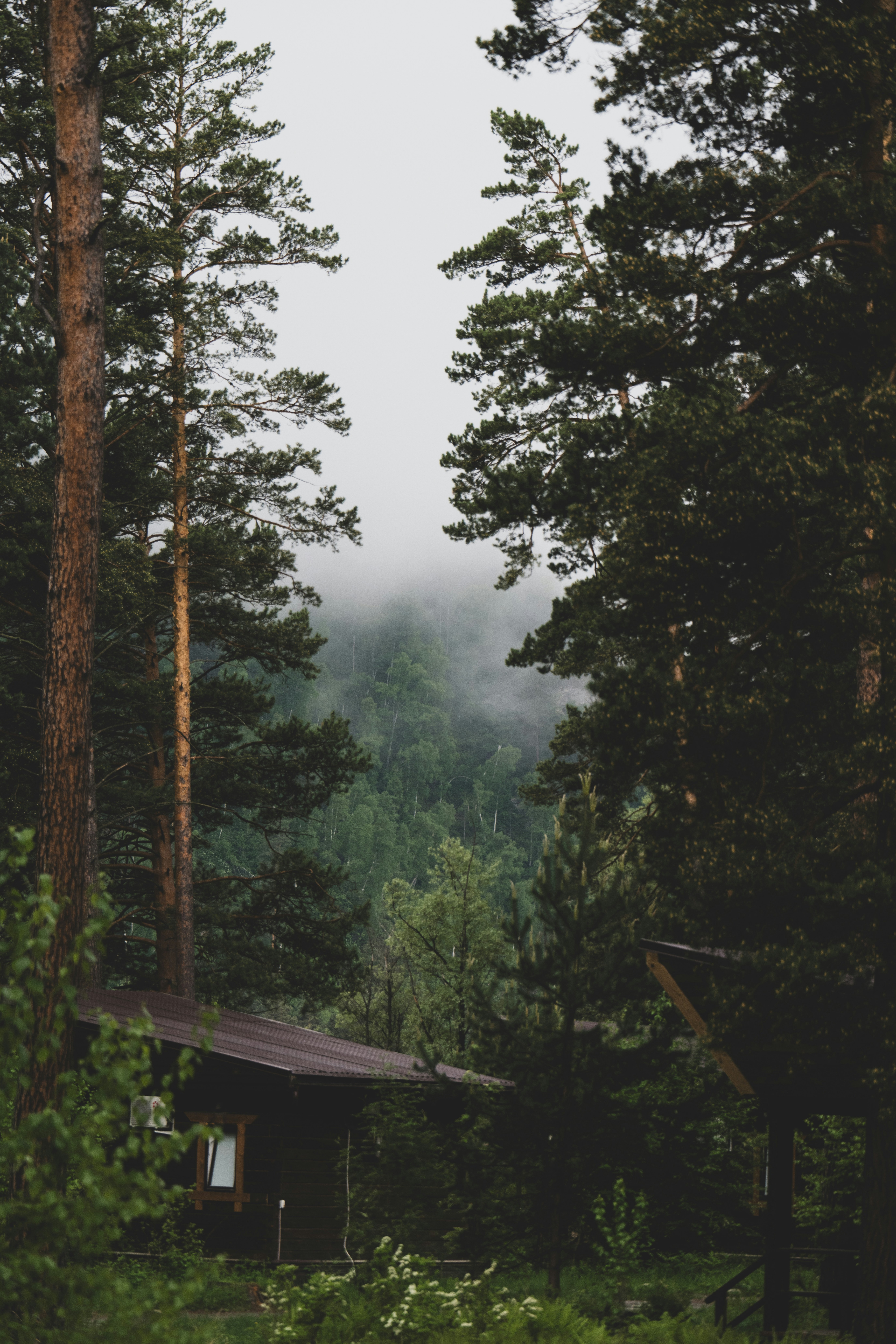 Photo by andreystrizhkov