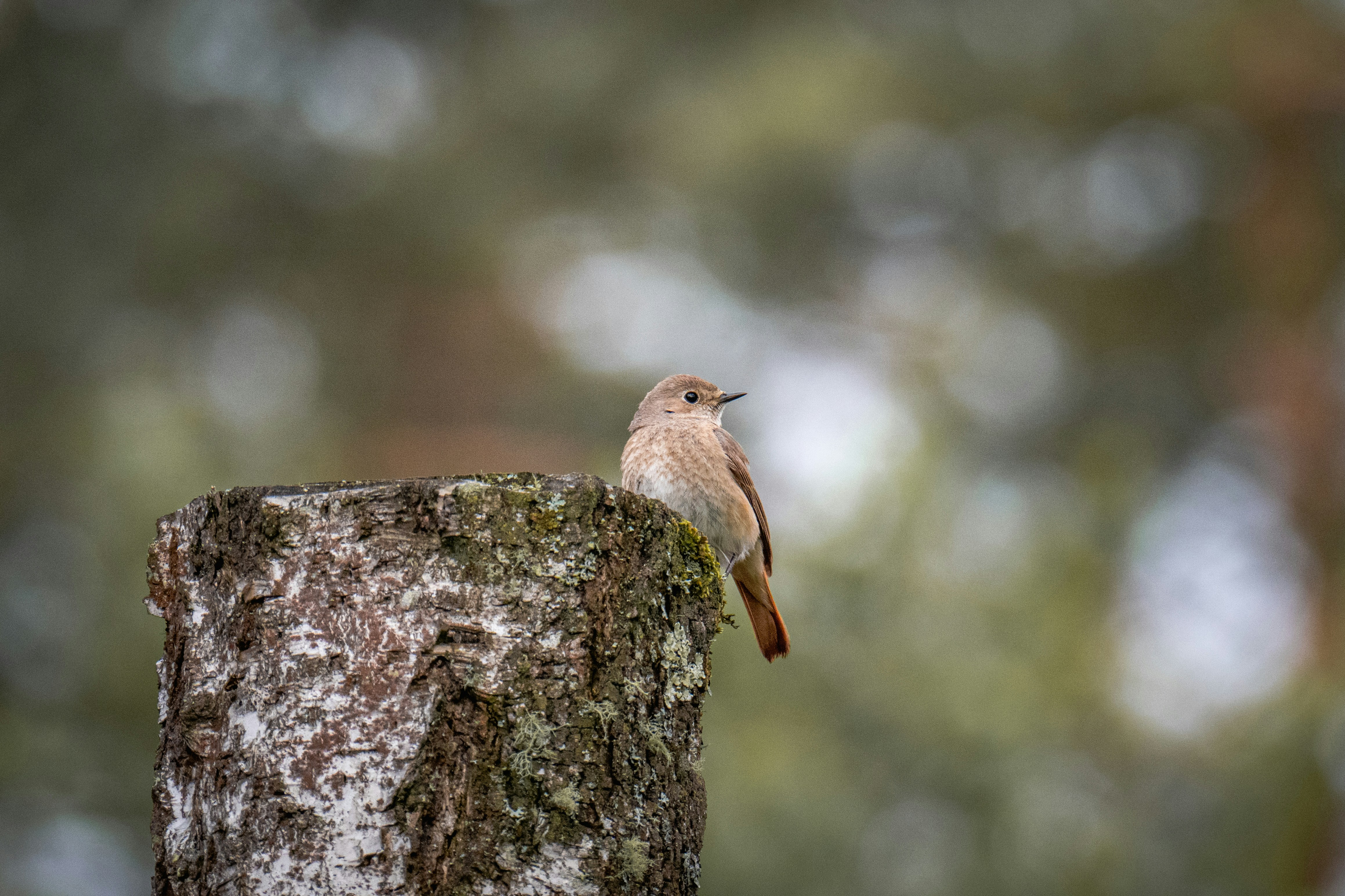 Photo by andreystrizhkov