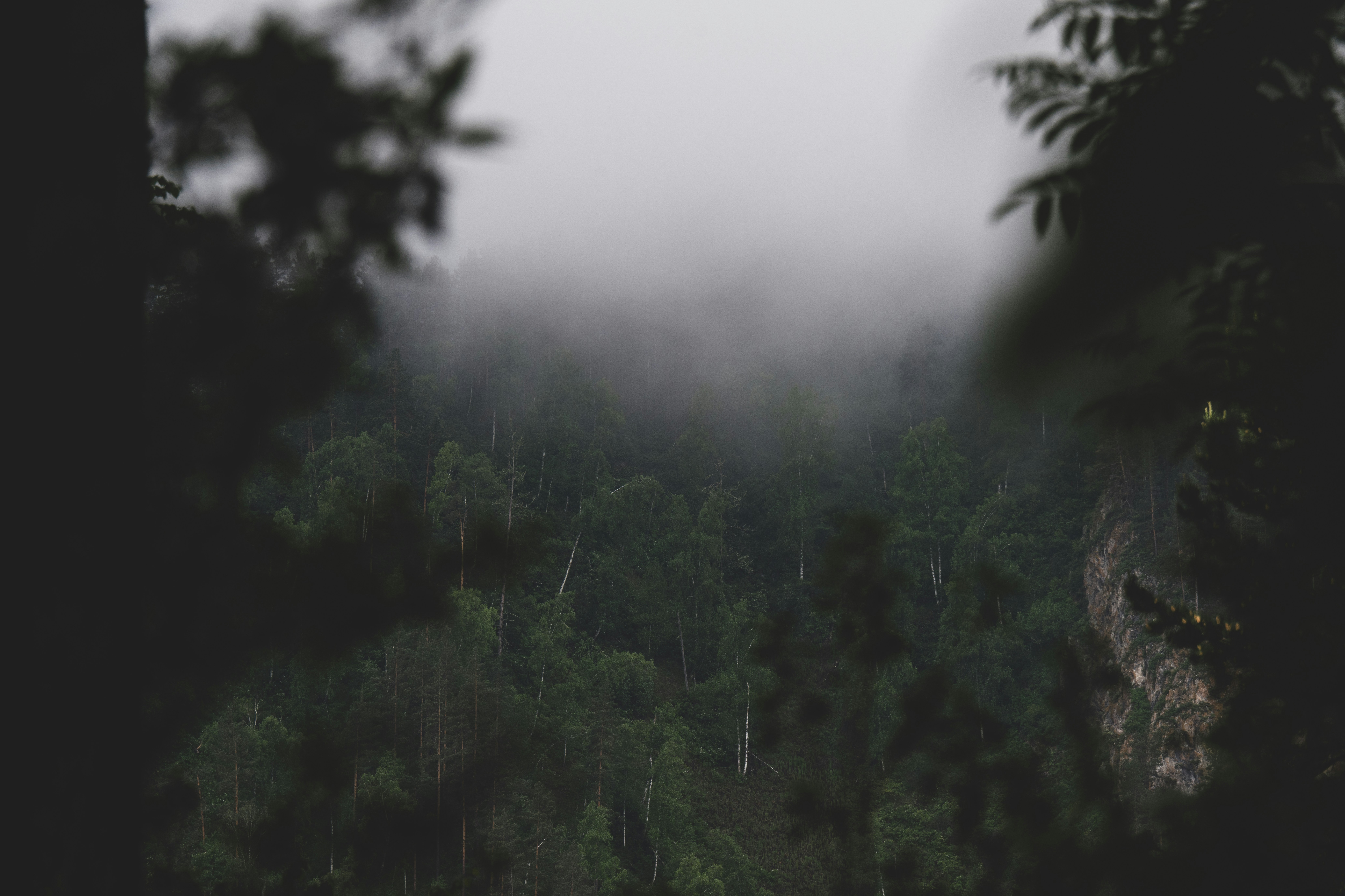 Photo by andreystrizhkov