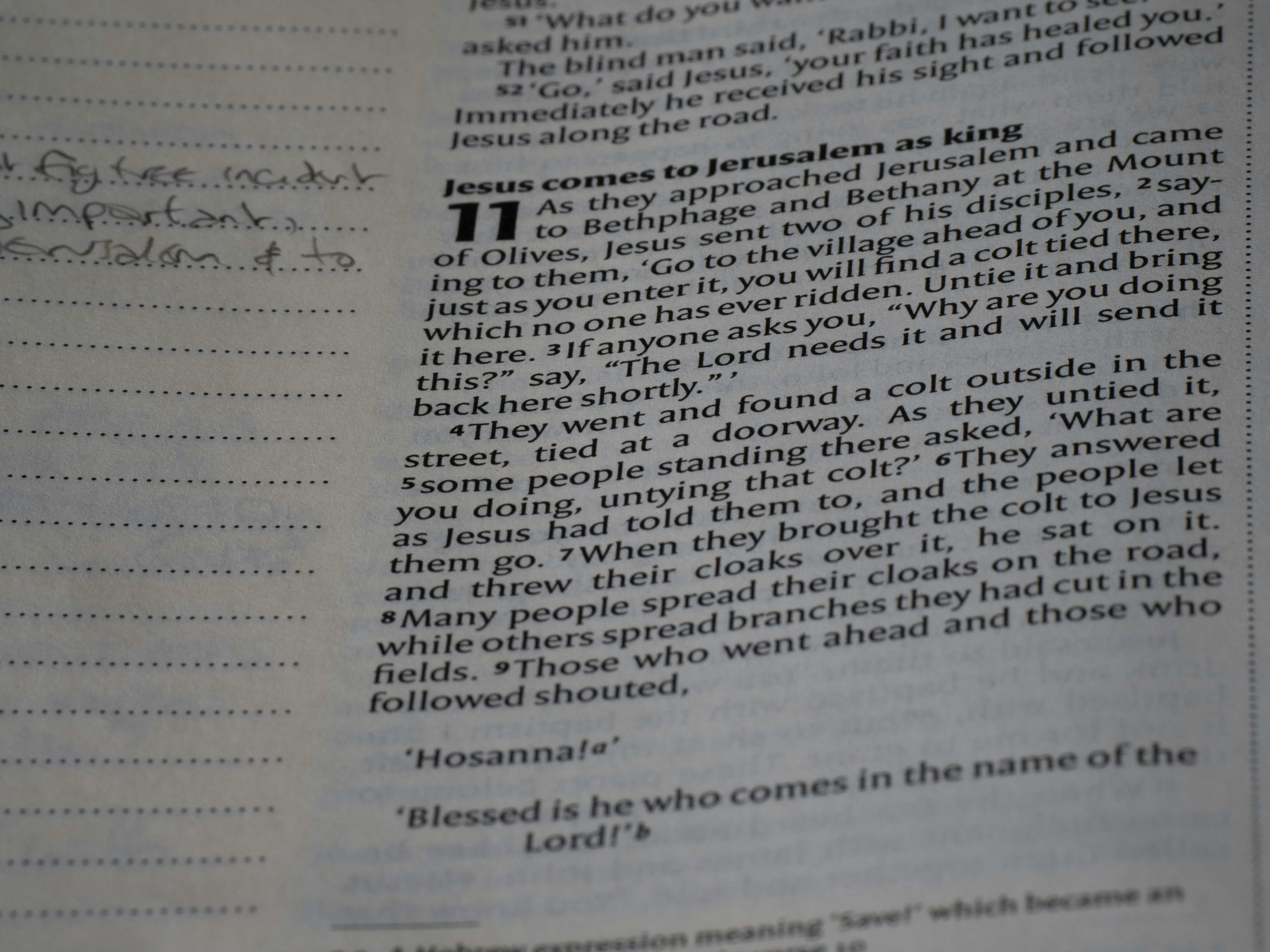 Photo by brett_jordan