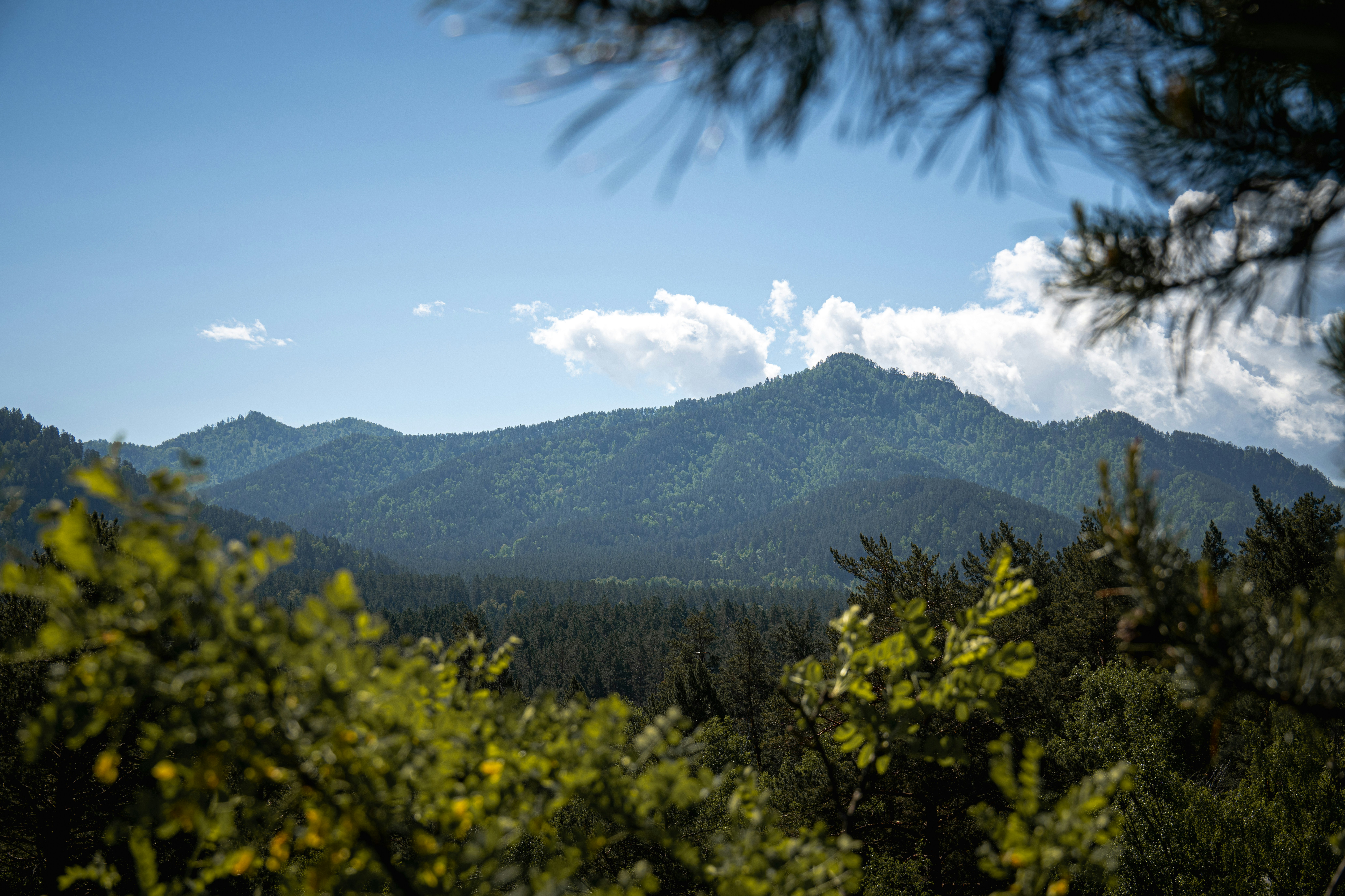 Photo by andreystrizhkov