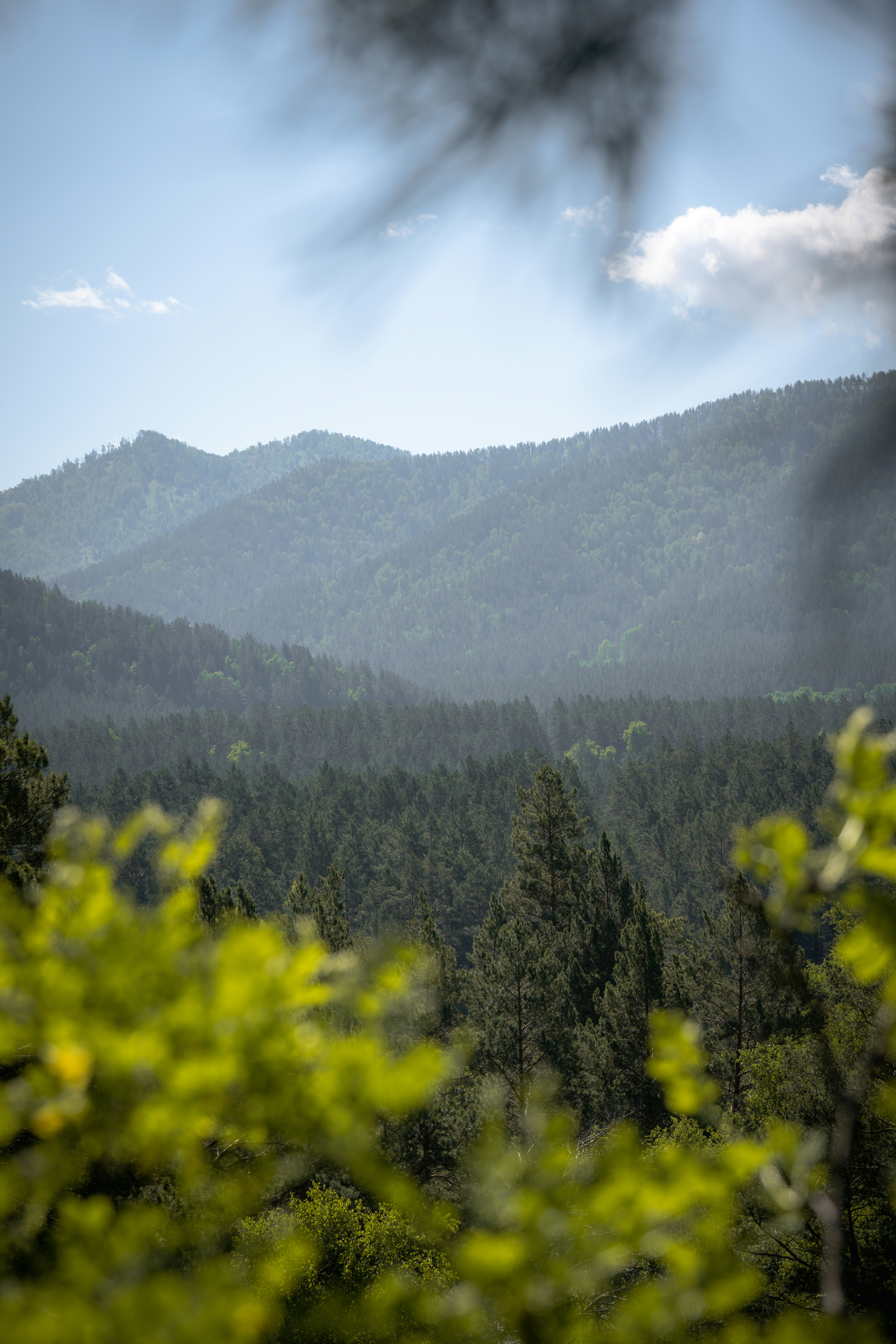 Photo by andreystrizhkov