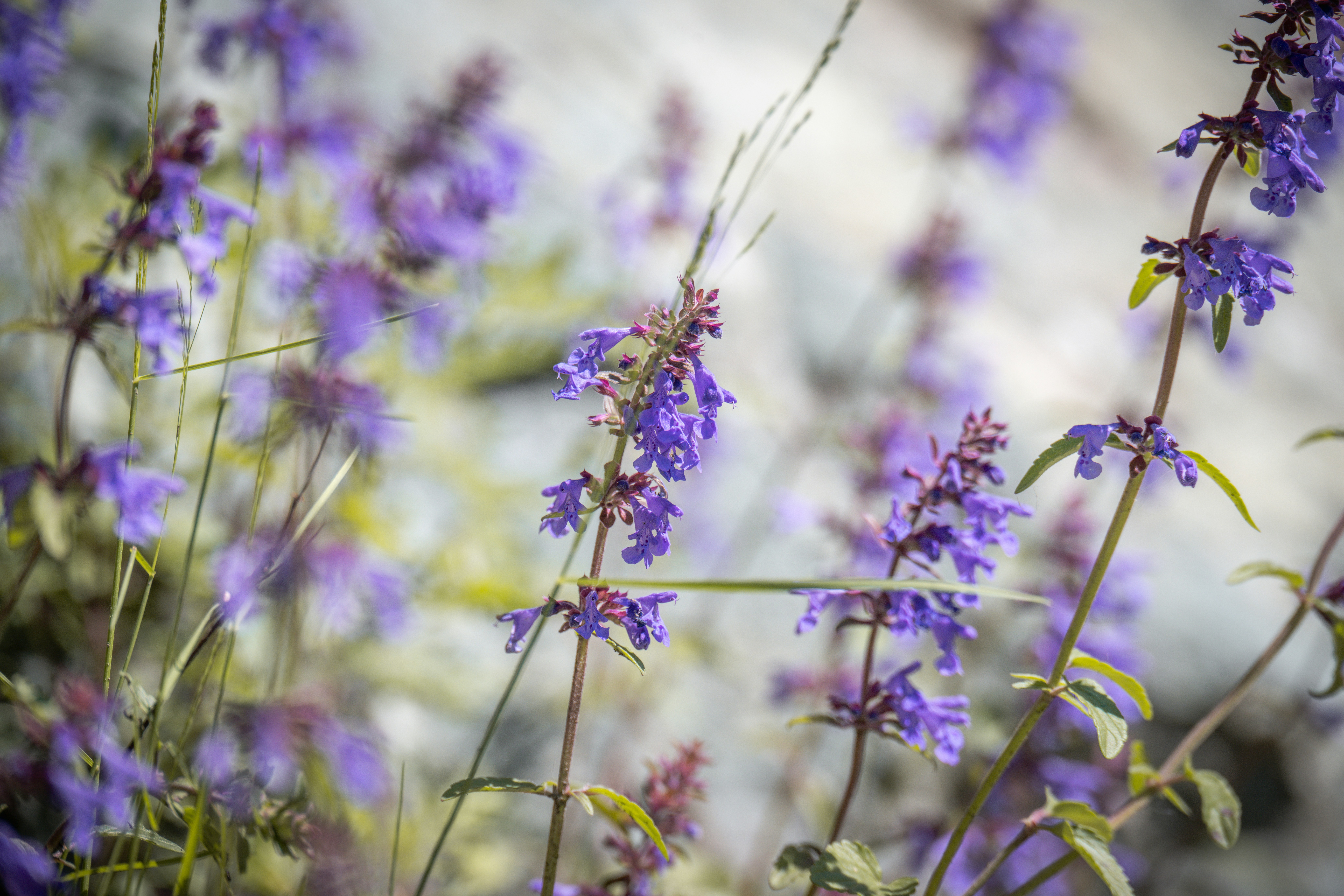 Photo by andreystrizhkov