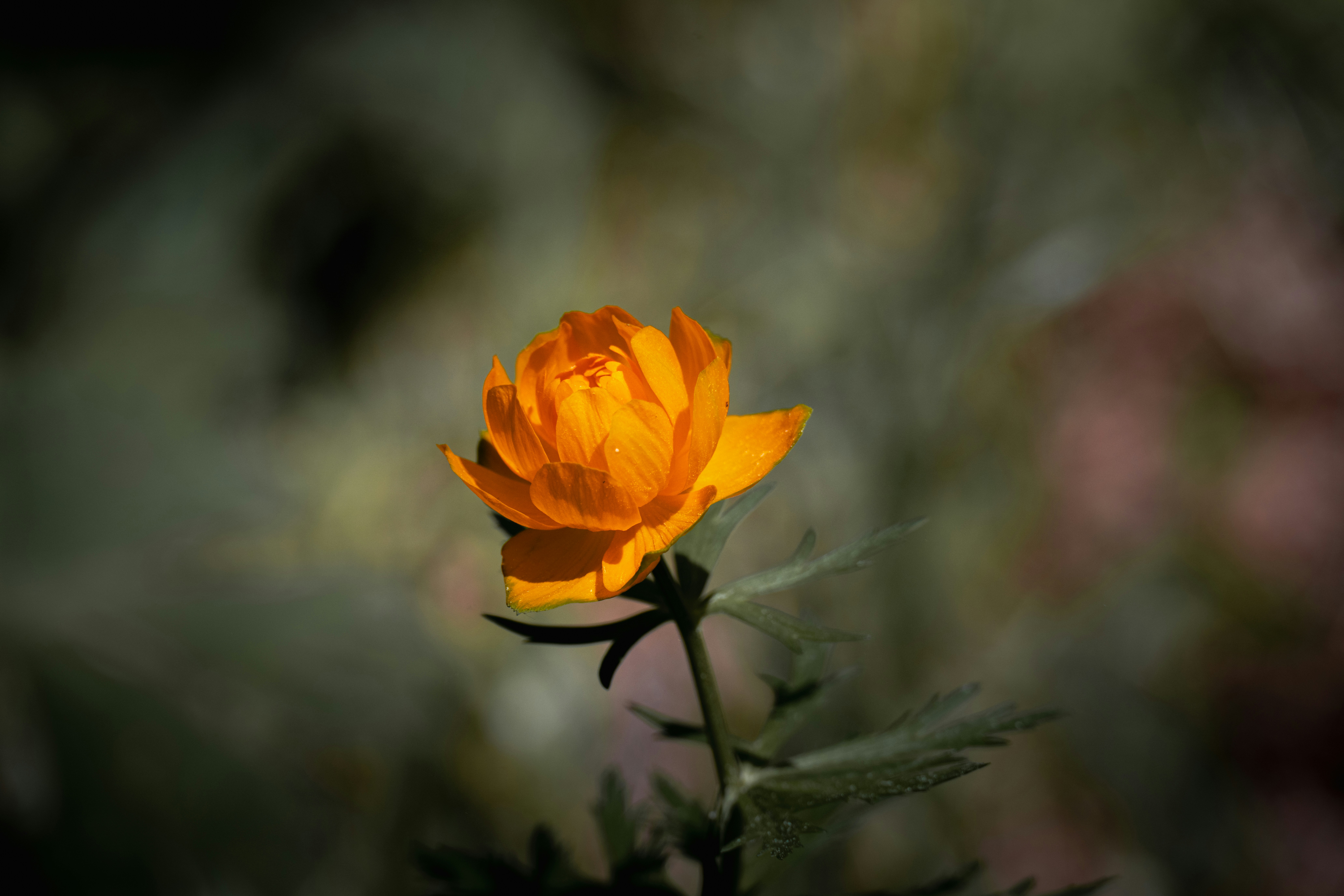 Photo by andreystrizhkov