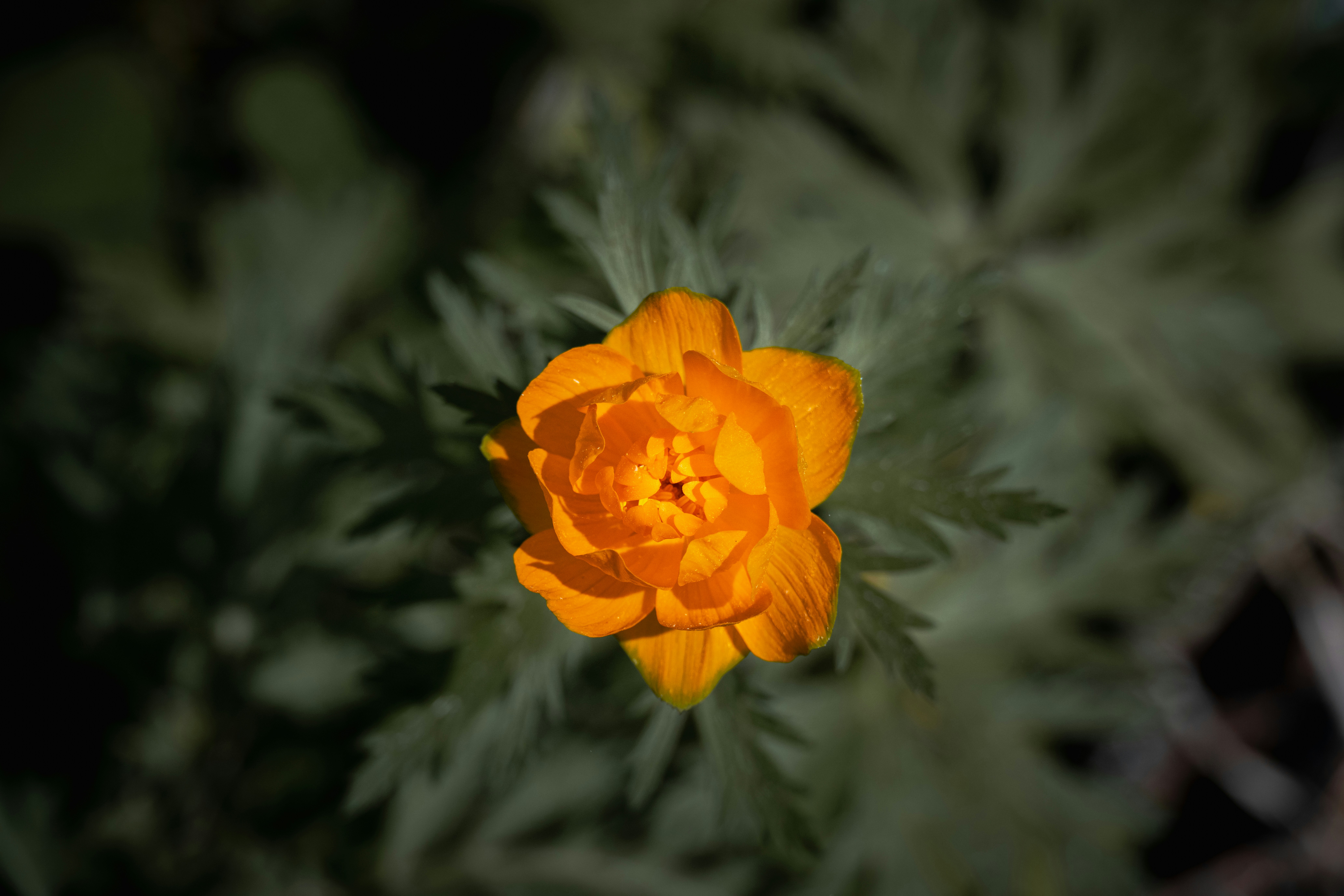 Photo by andreystrizhkov