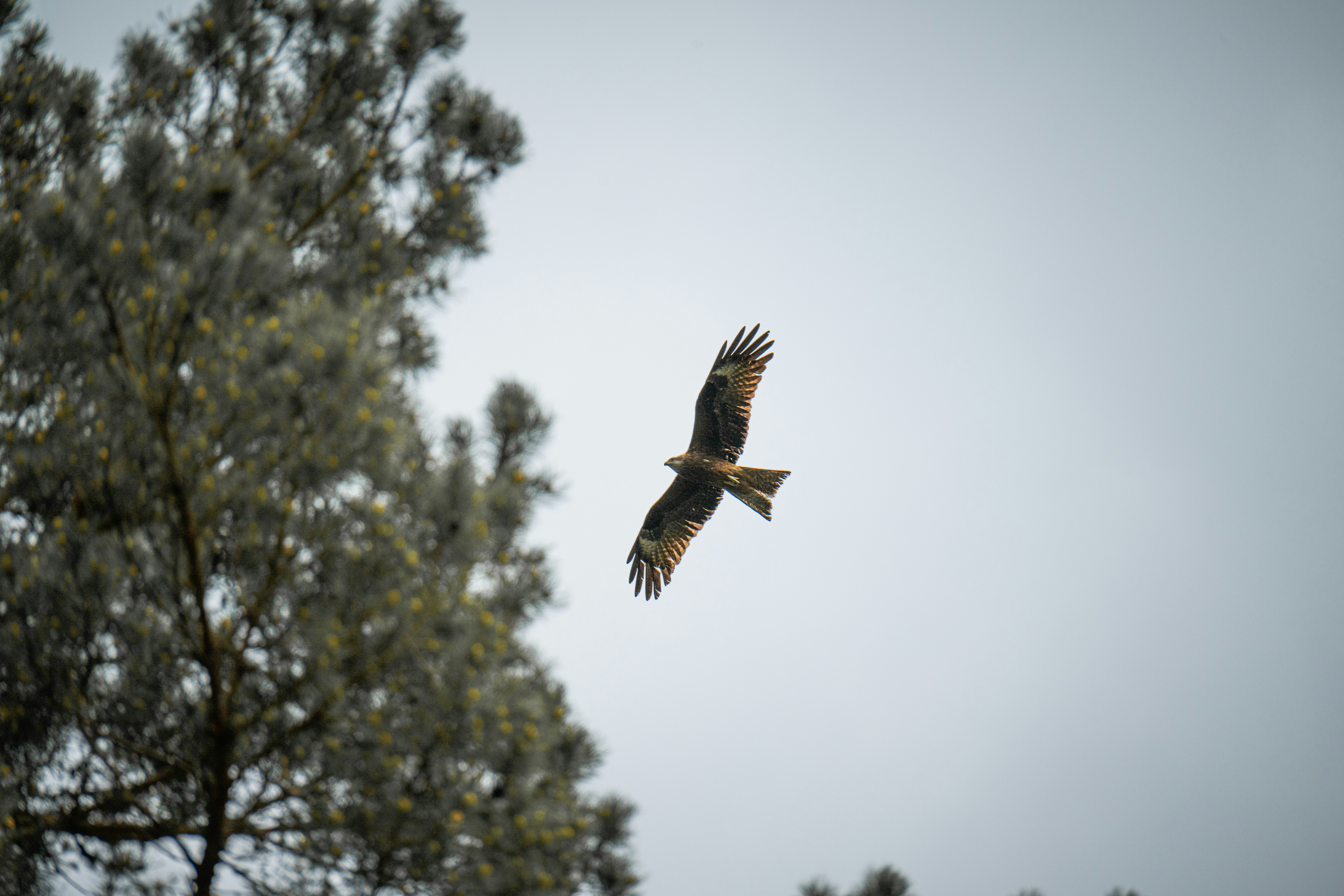 Photo by andreystrizhkov