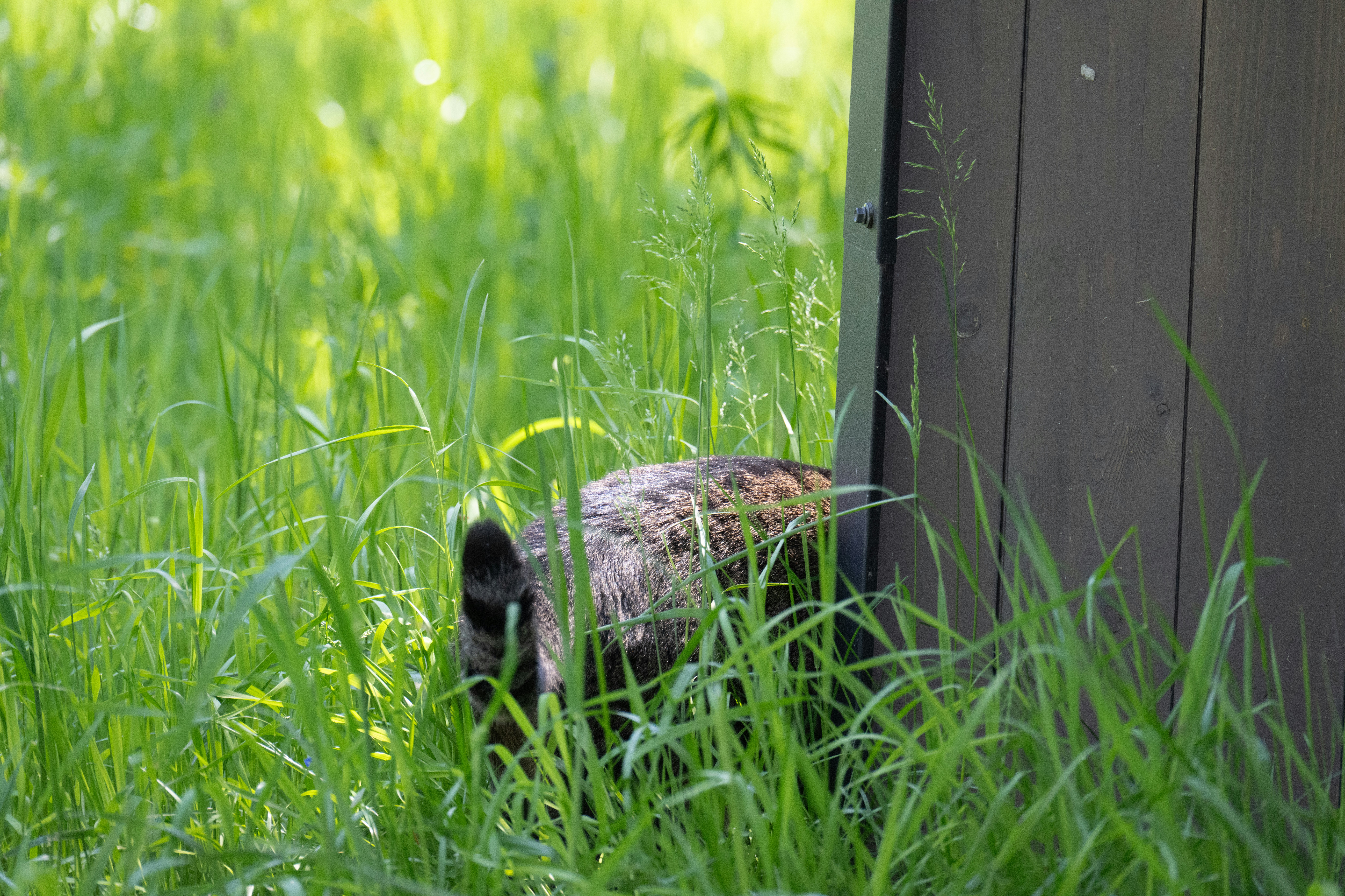 Photo by andreystrizhkov