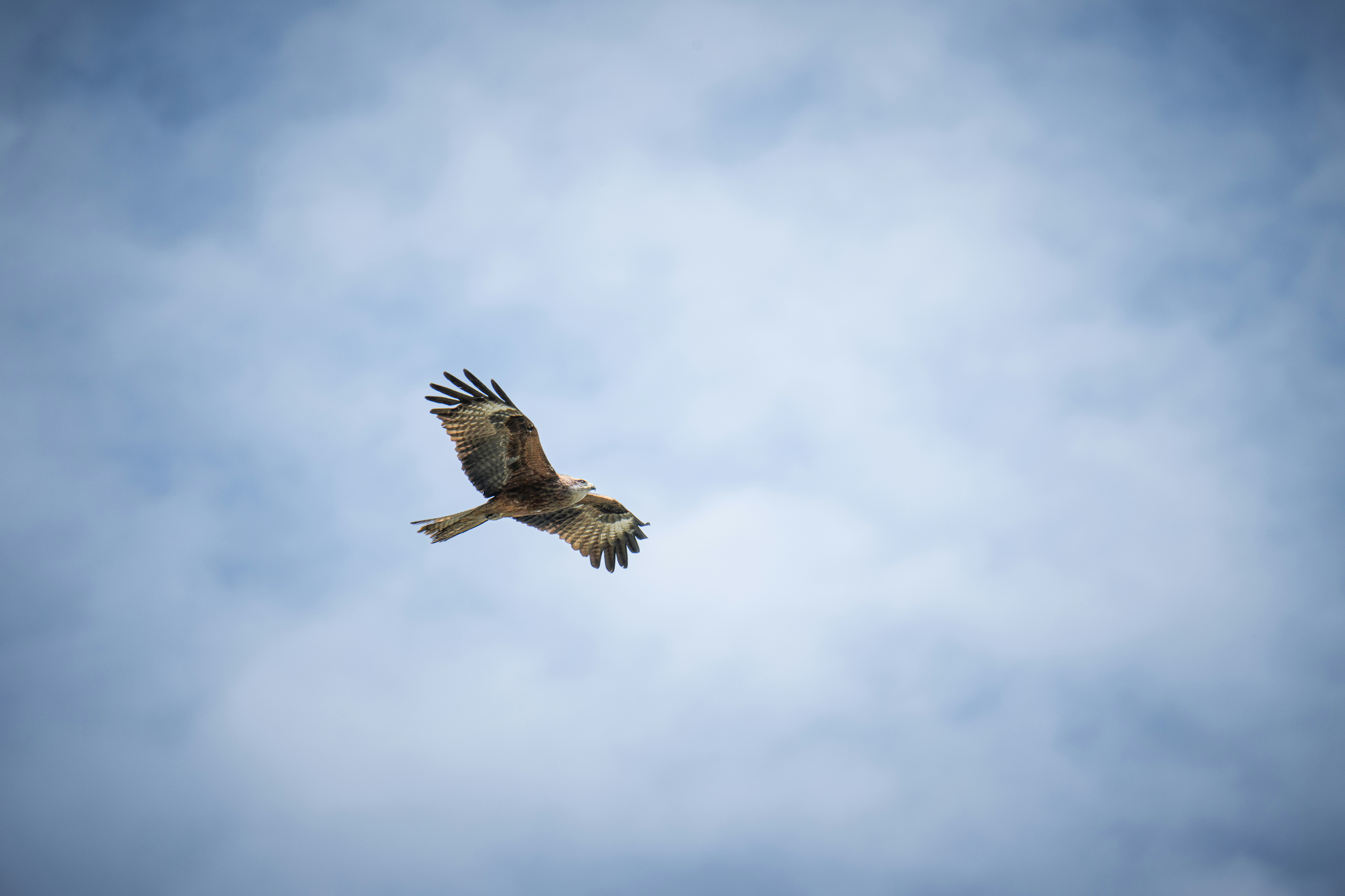 Photo by andreystrizhkov