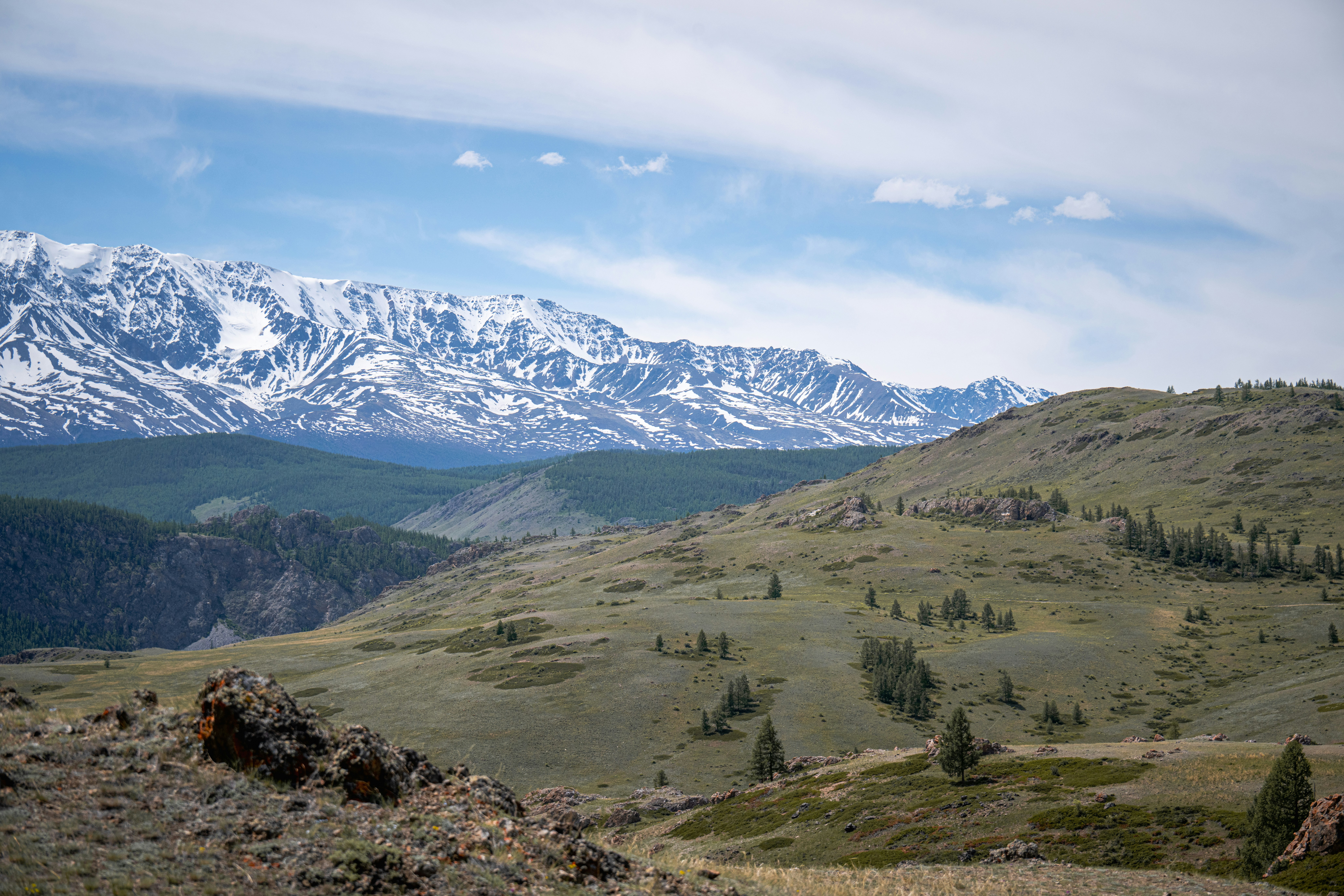 Photo by andreystrizhkov