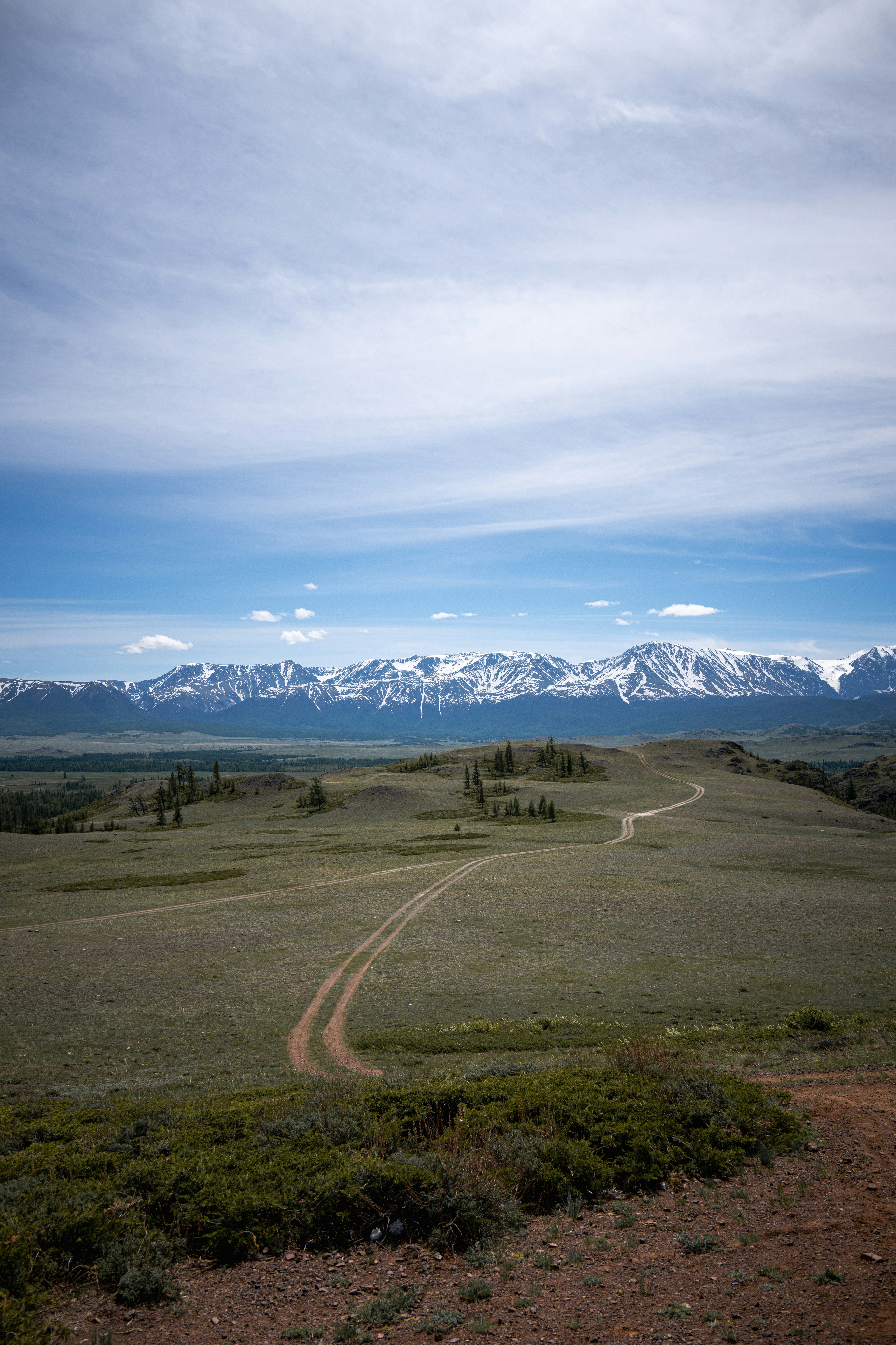 a dirt road in the middle of a field with mountains in the background