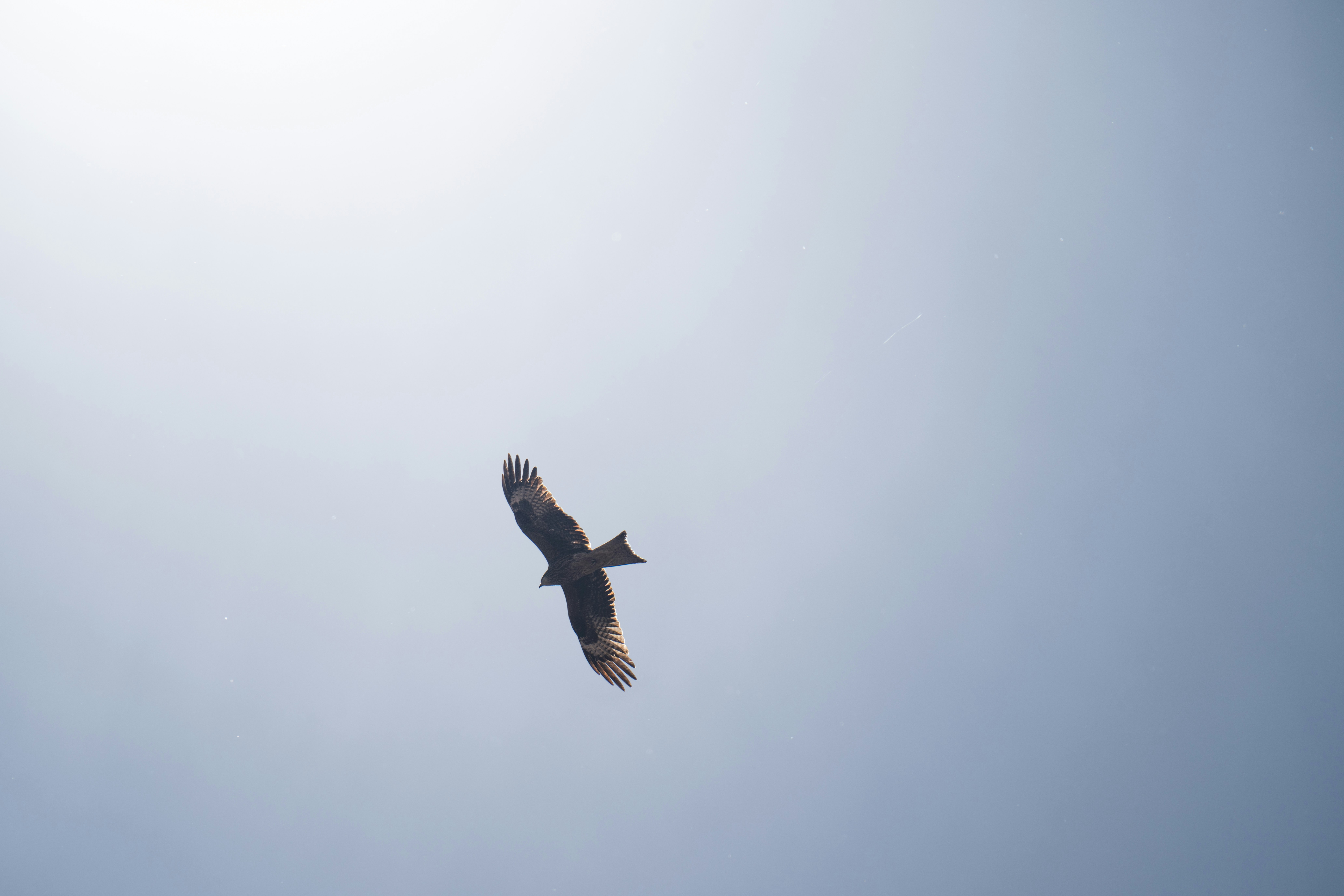 Photo by andreystrizhkov