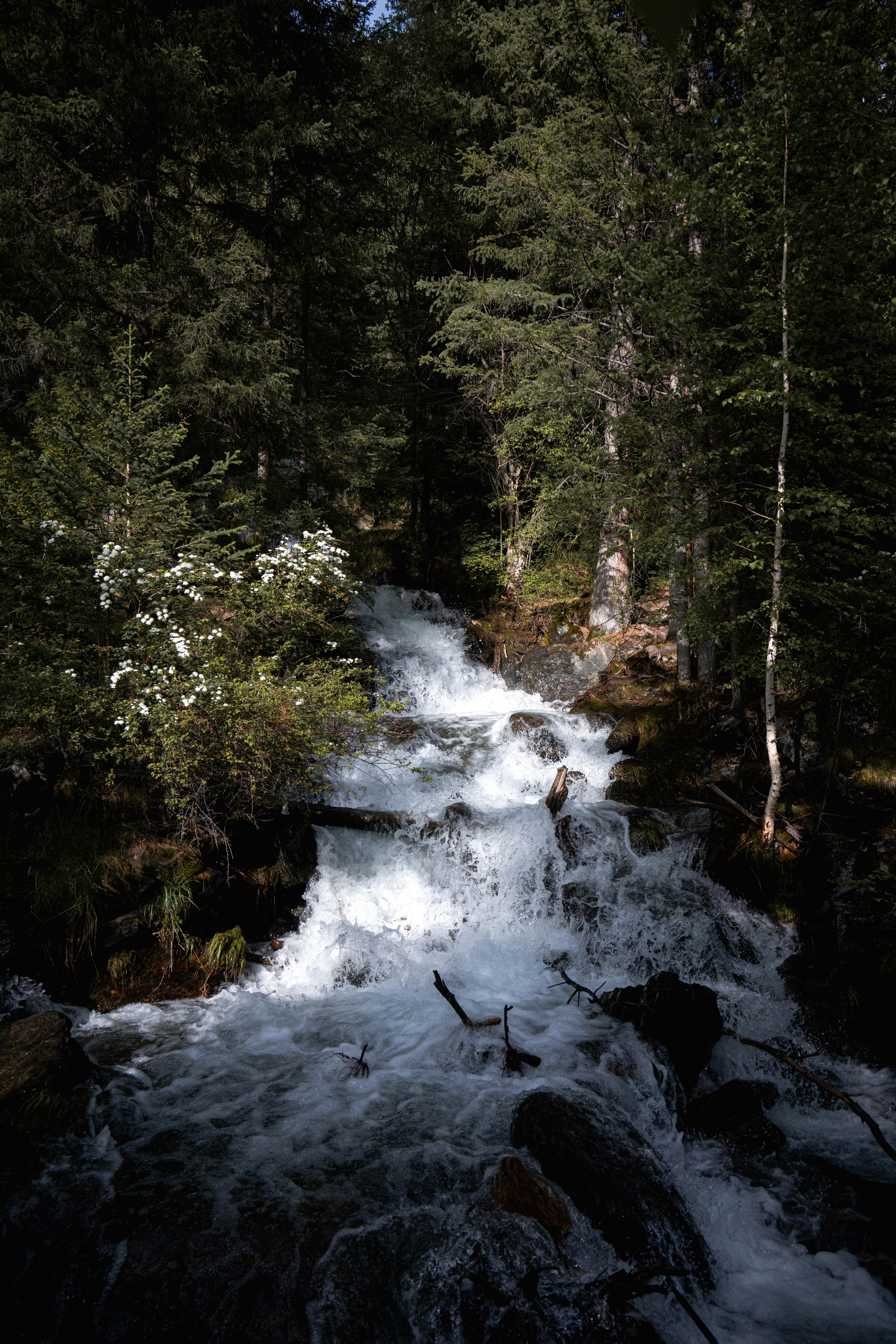 Photo by andreystrizhkov