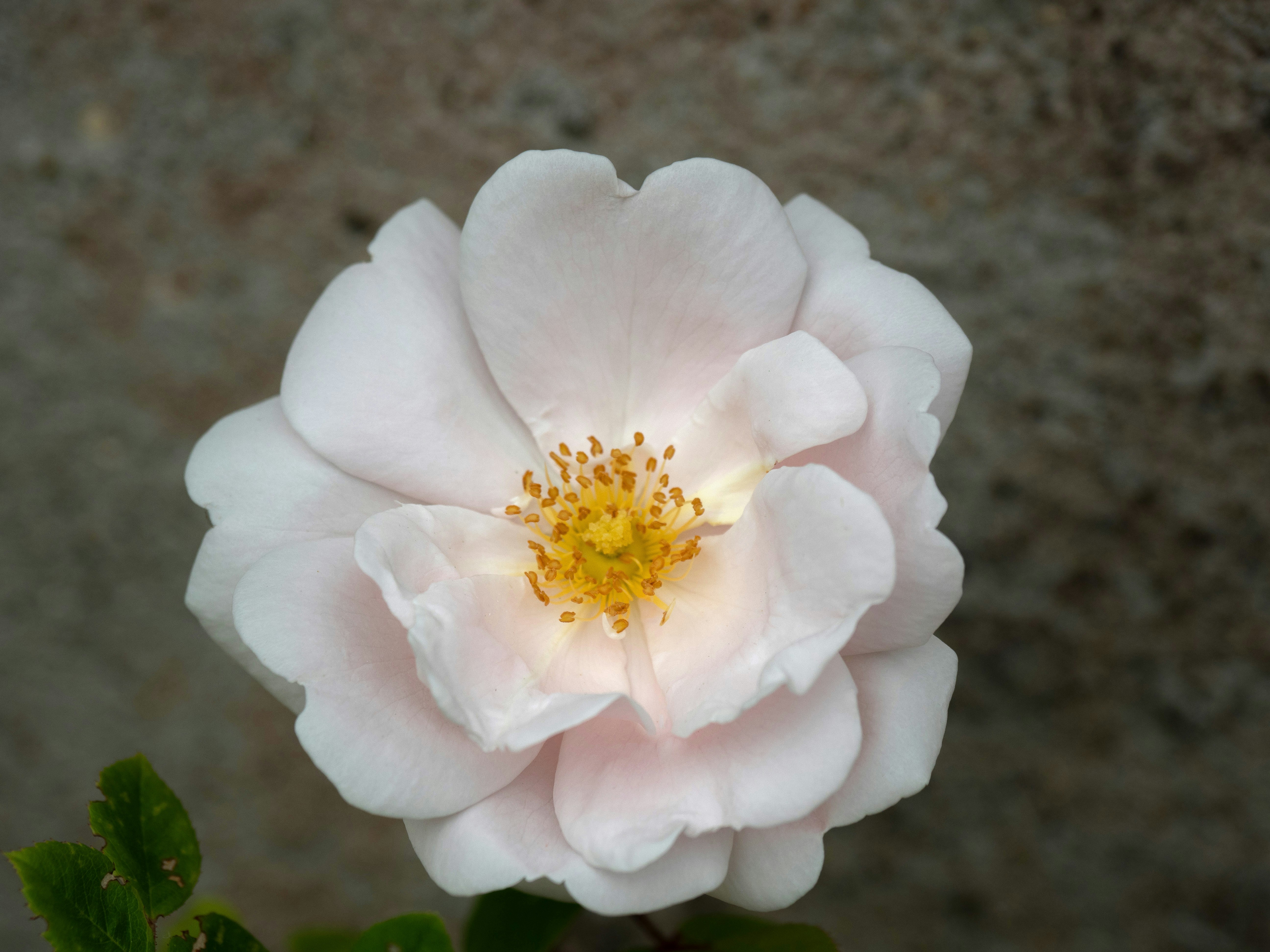 Photo by brett_jordan