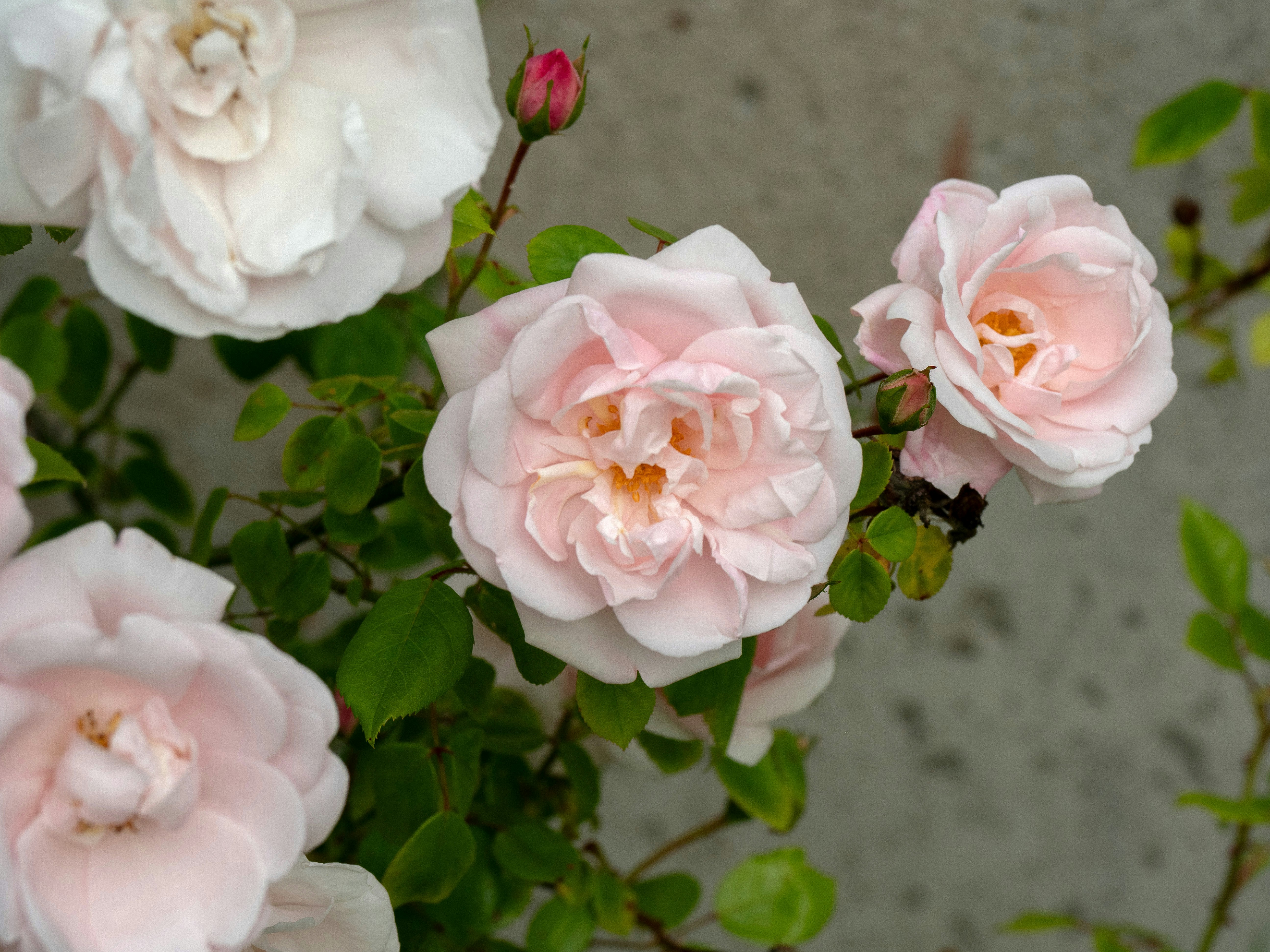 Photo by brett_jordan