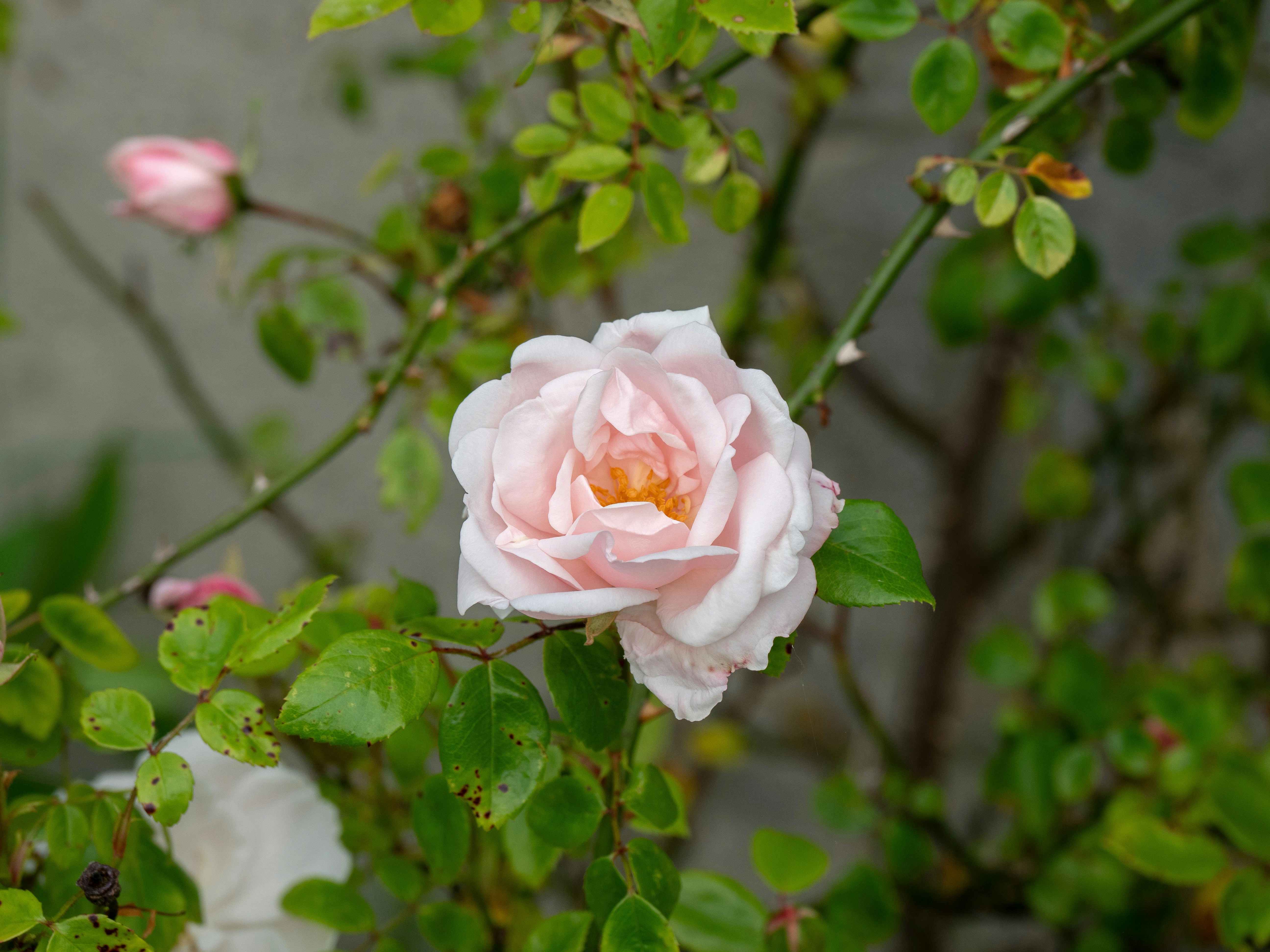 Photo by brett_jordan