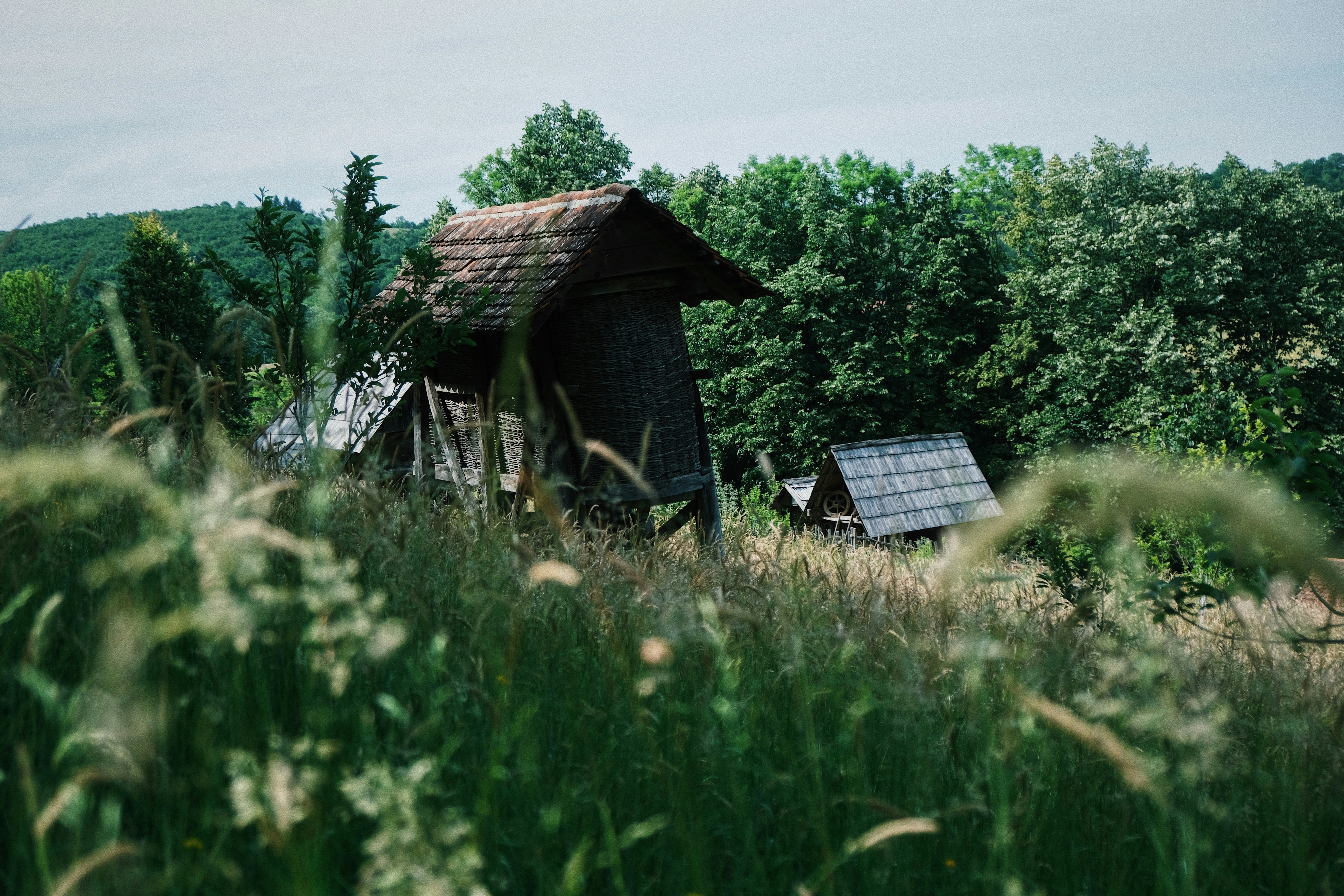 Photo by janikpresser