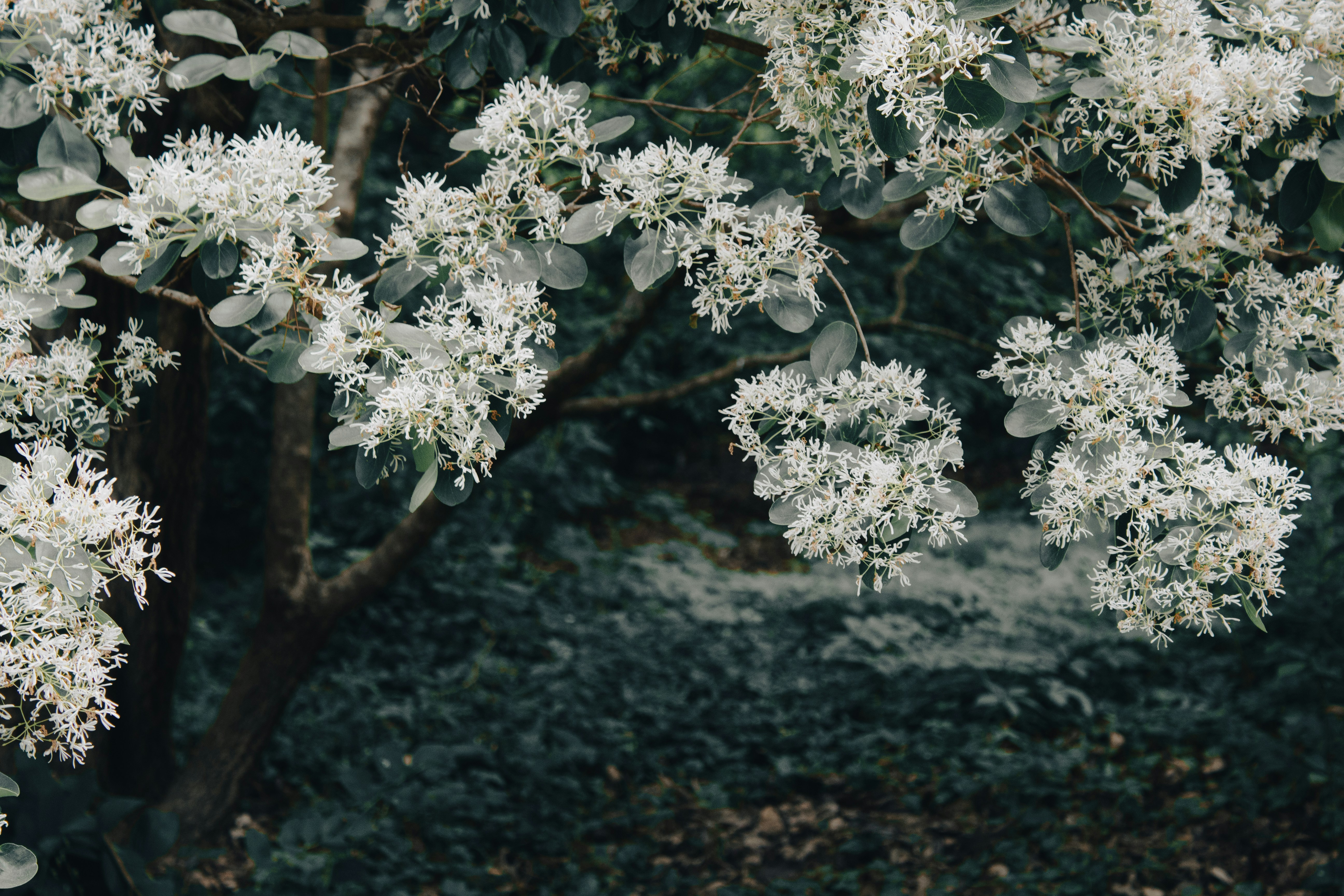 Photo by pixel_perfectionist