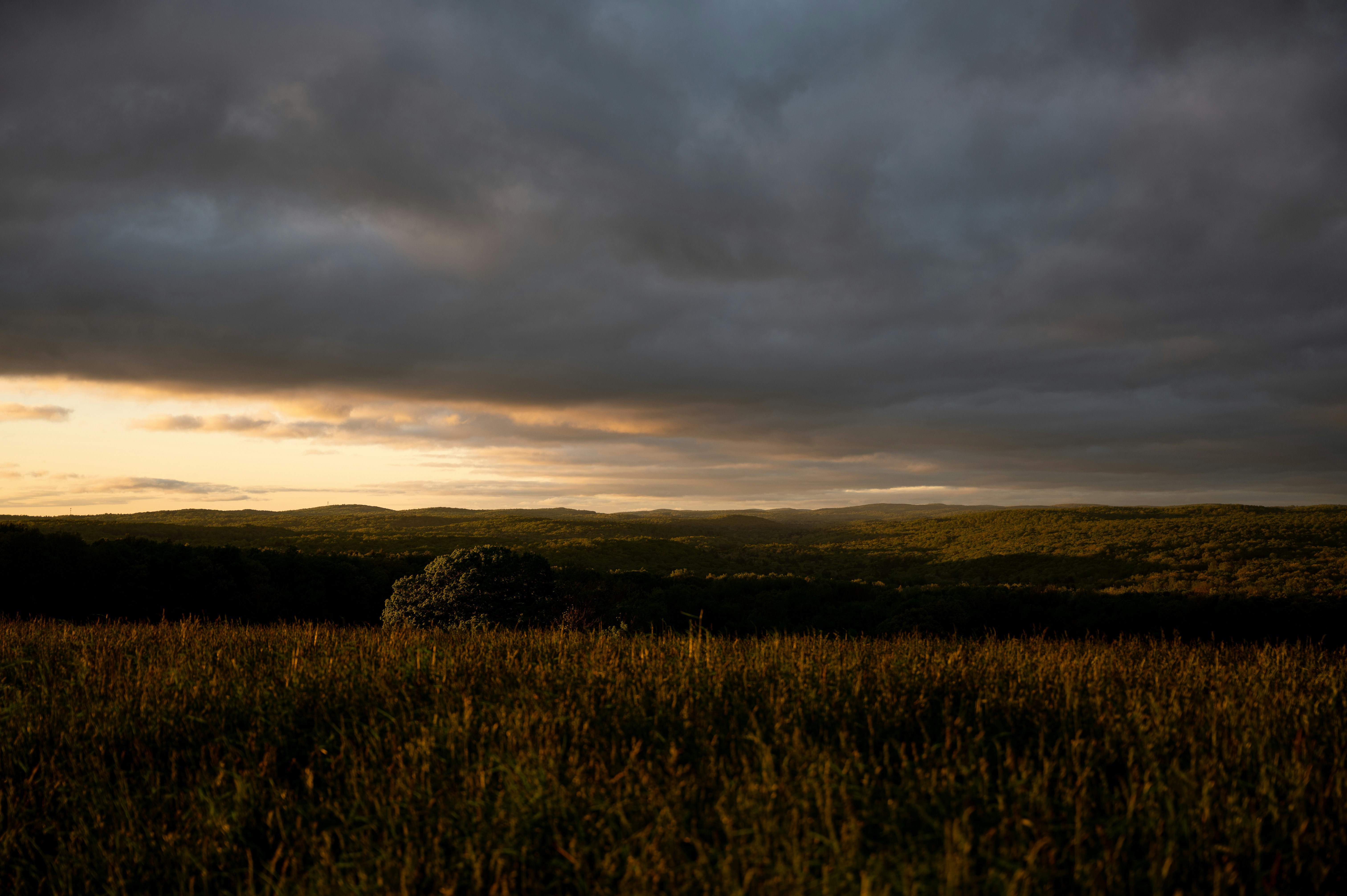 Photo by desiraygreen