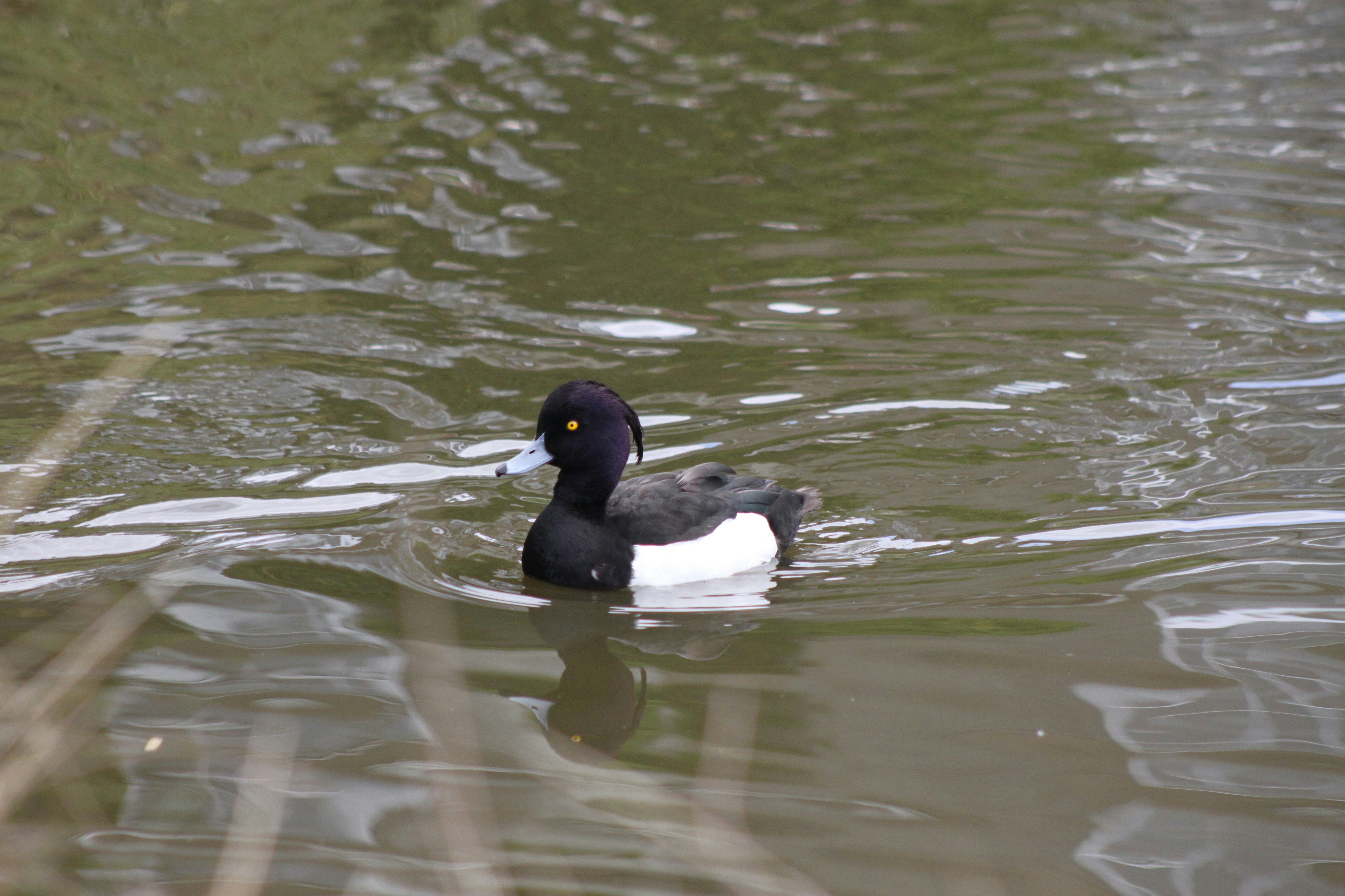 Photo by rubyphotography