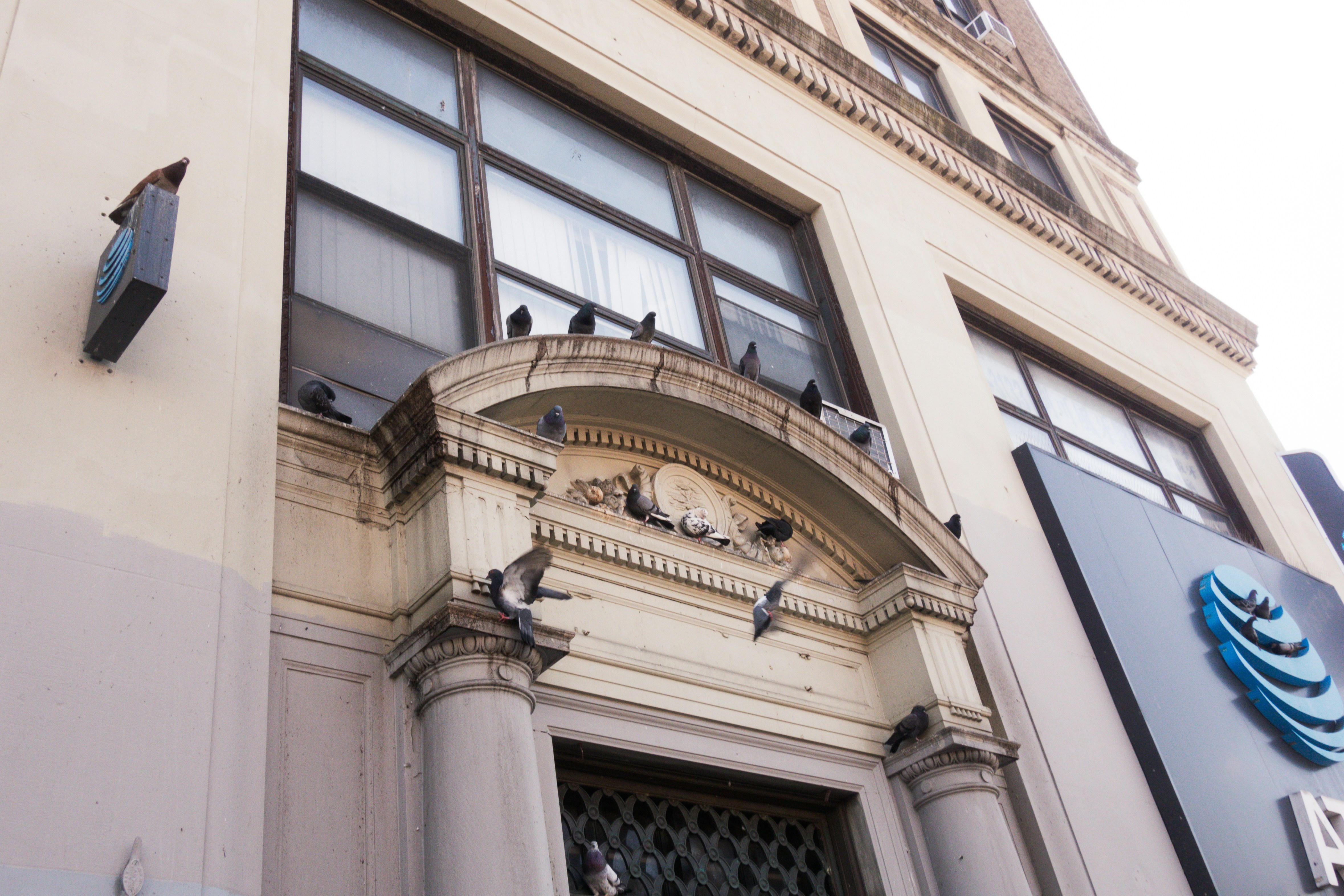 Photo by desiraygreen