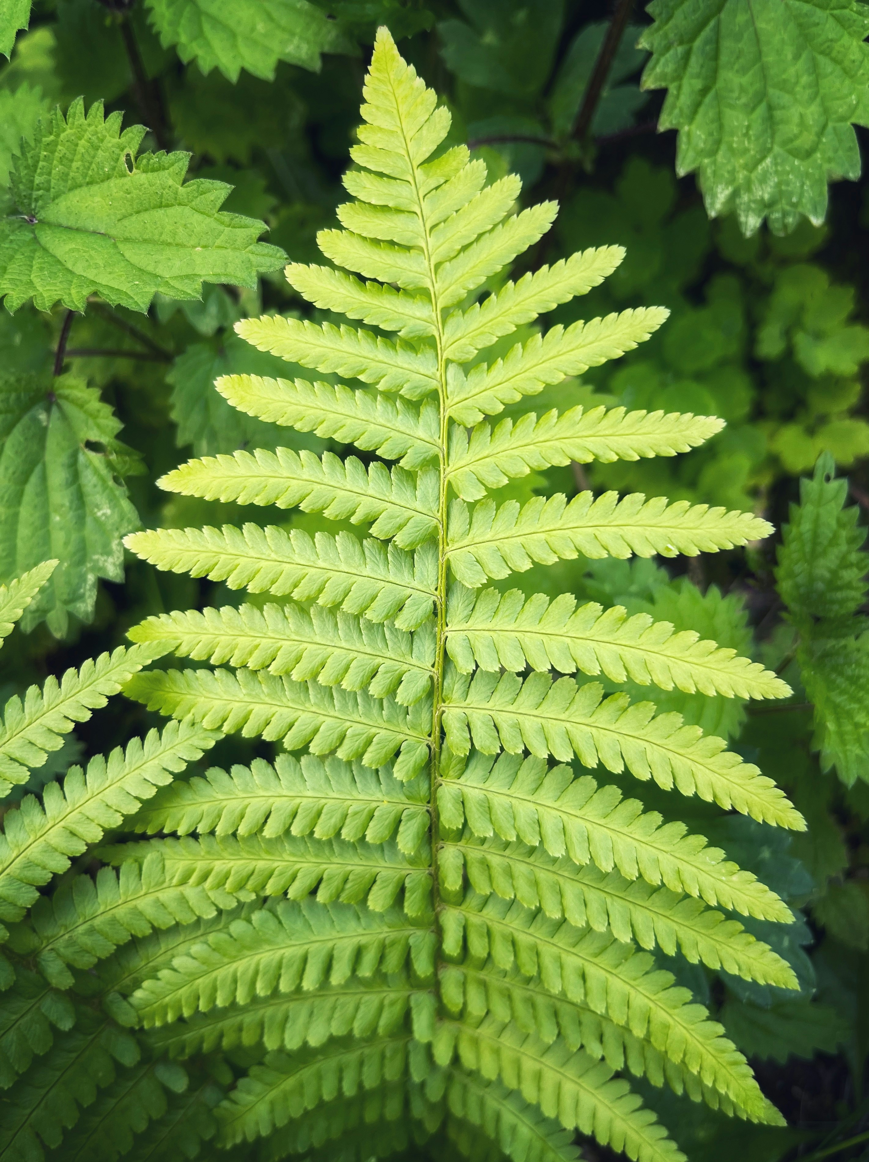 Photo by artofnature