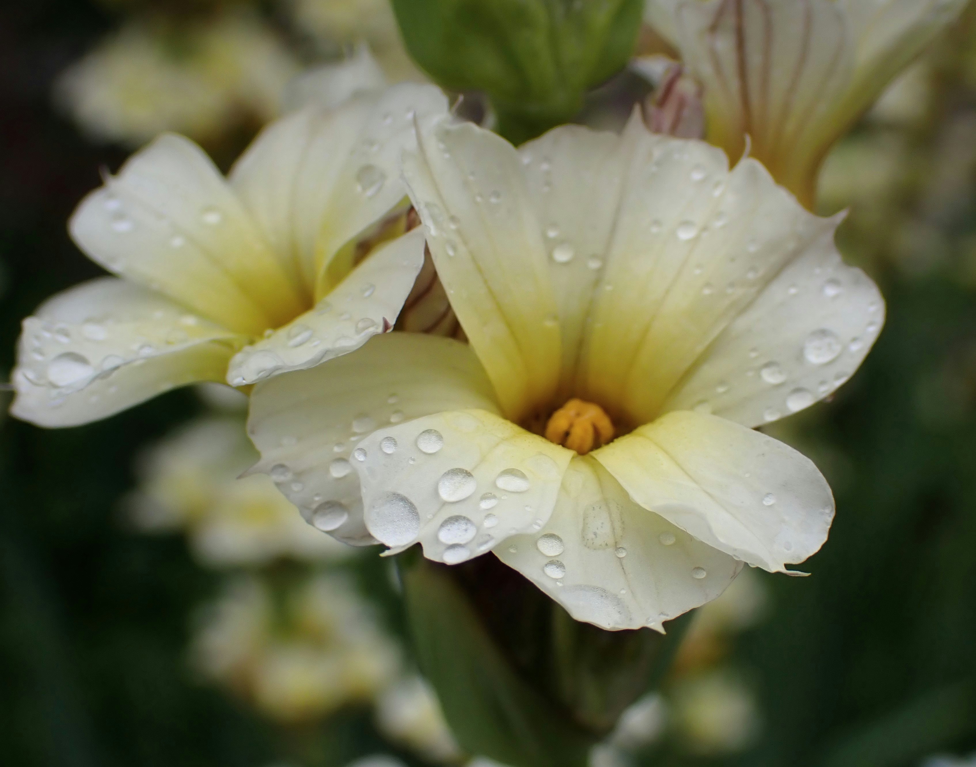 Photo by mostlymarvelling