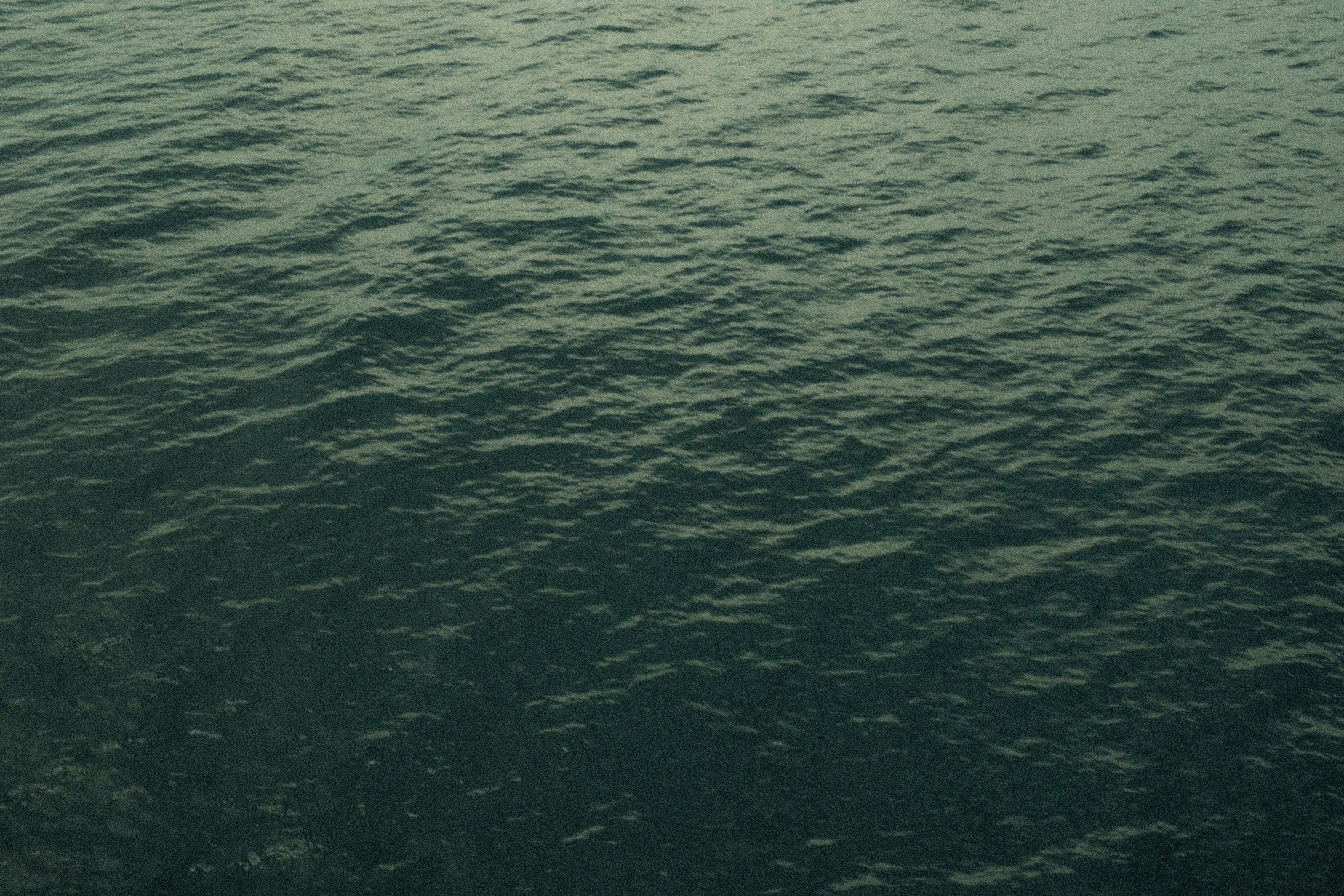 Photo by alexispresa