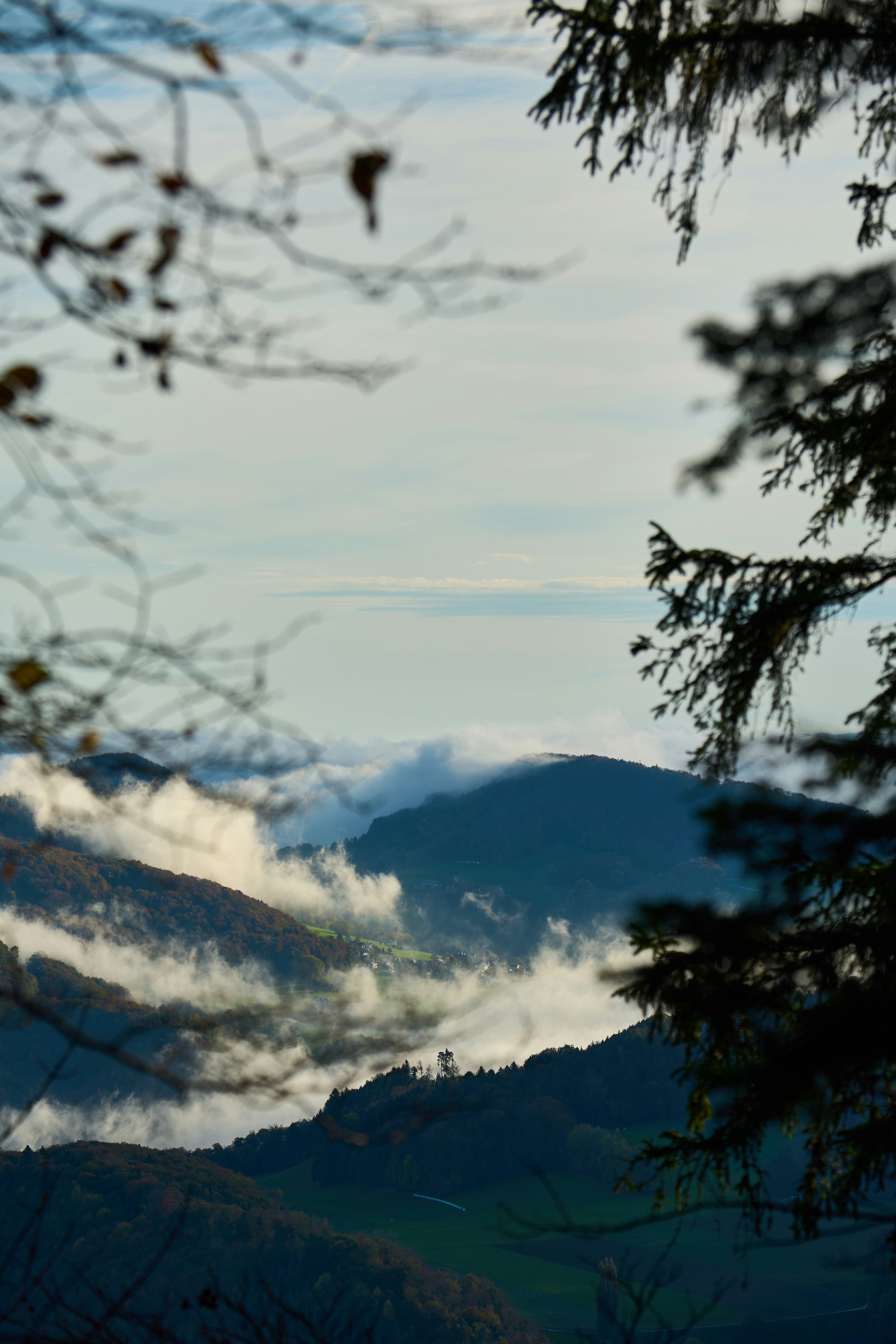 Photo by wolfgang_hasselmann