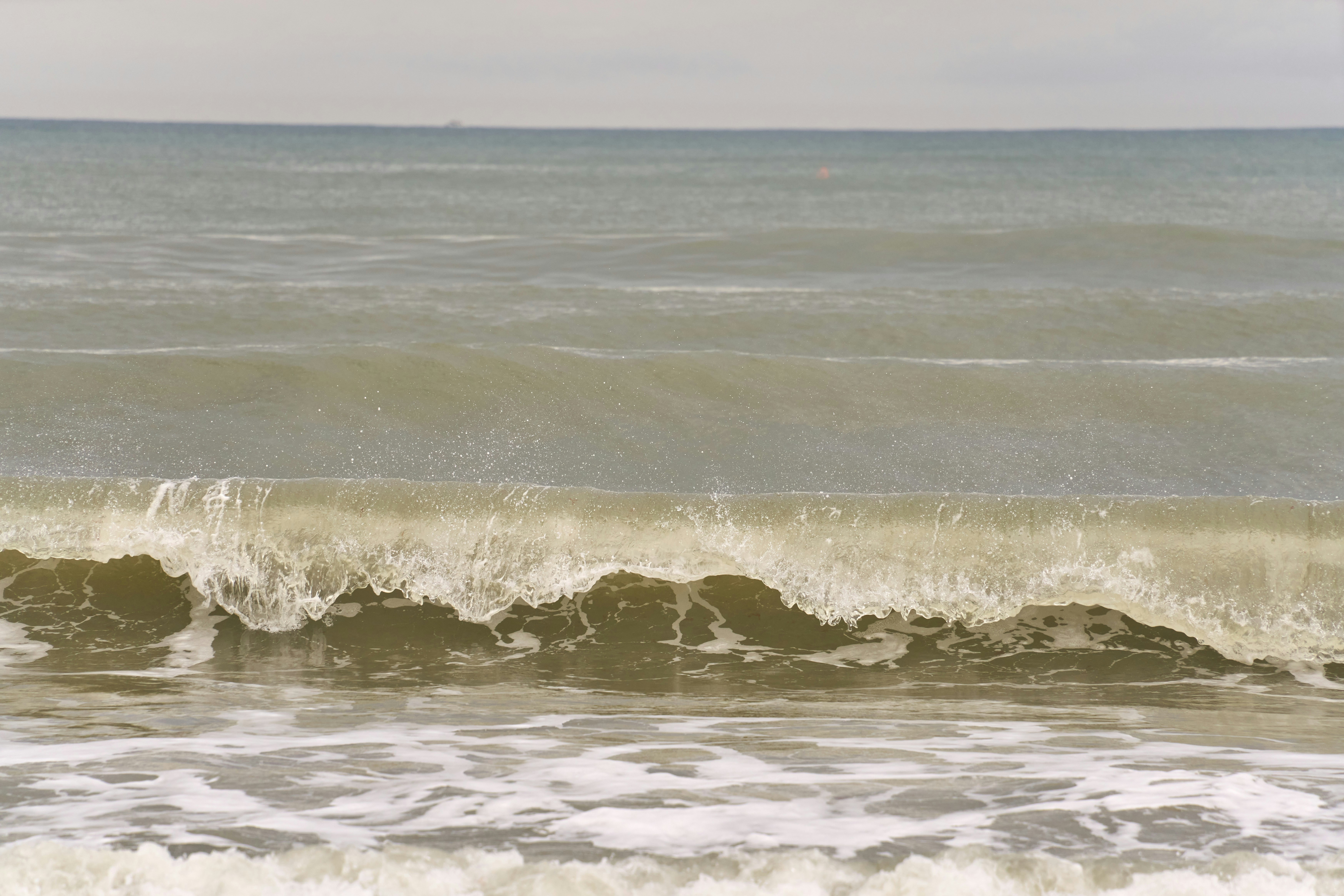 Photo by wolfgang_hasselmann