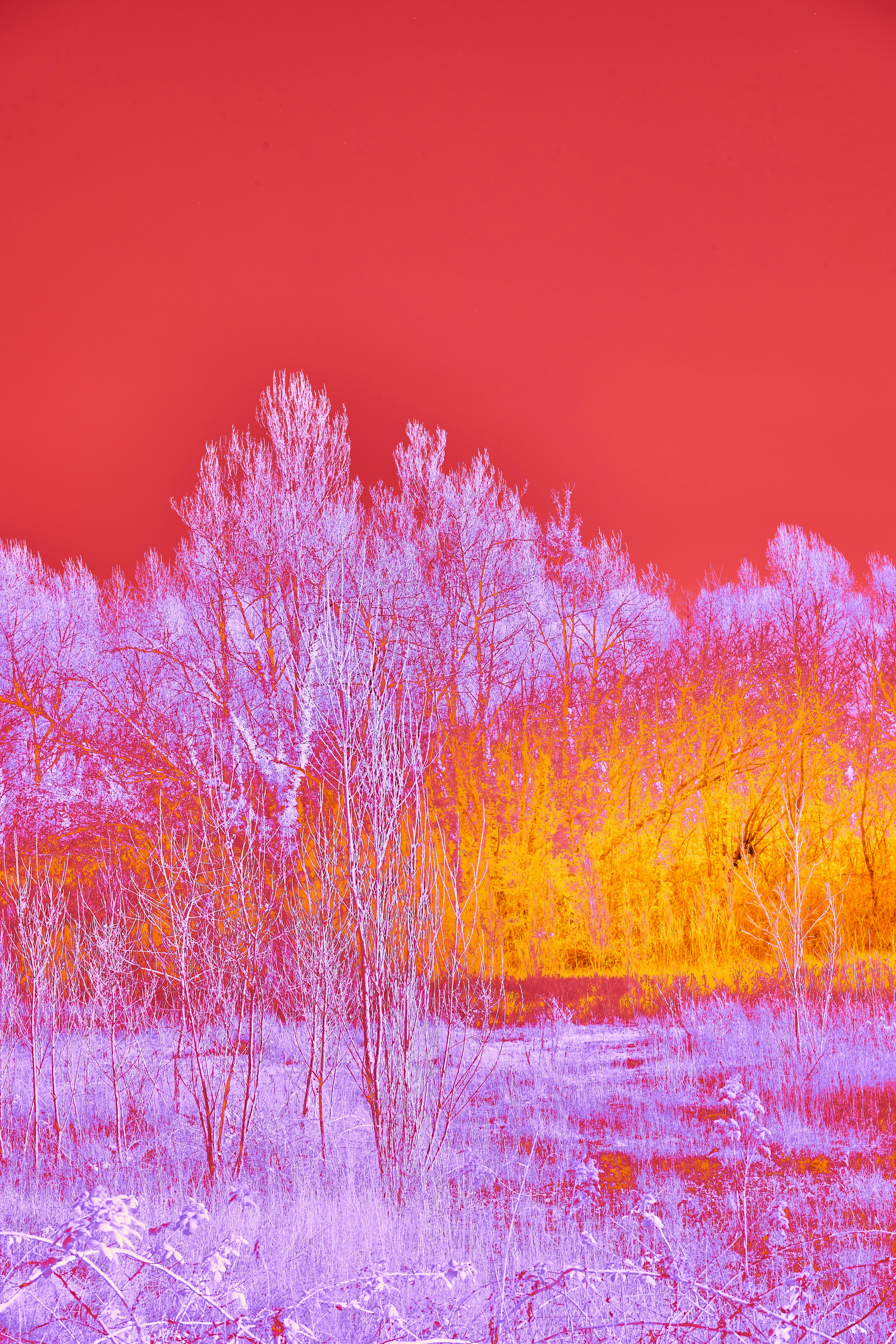 Photo by wolfgang_hasselmann