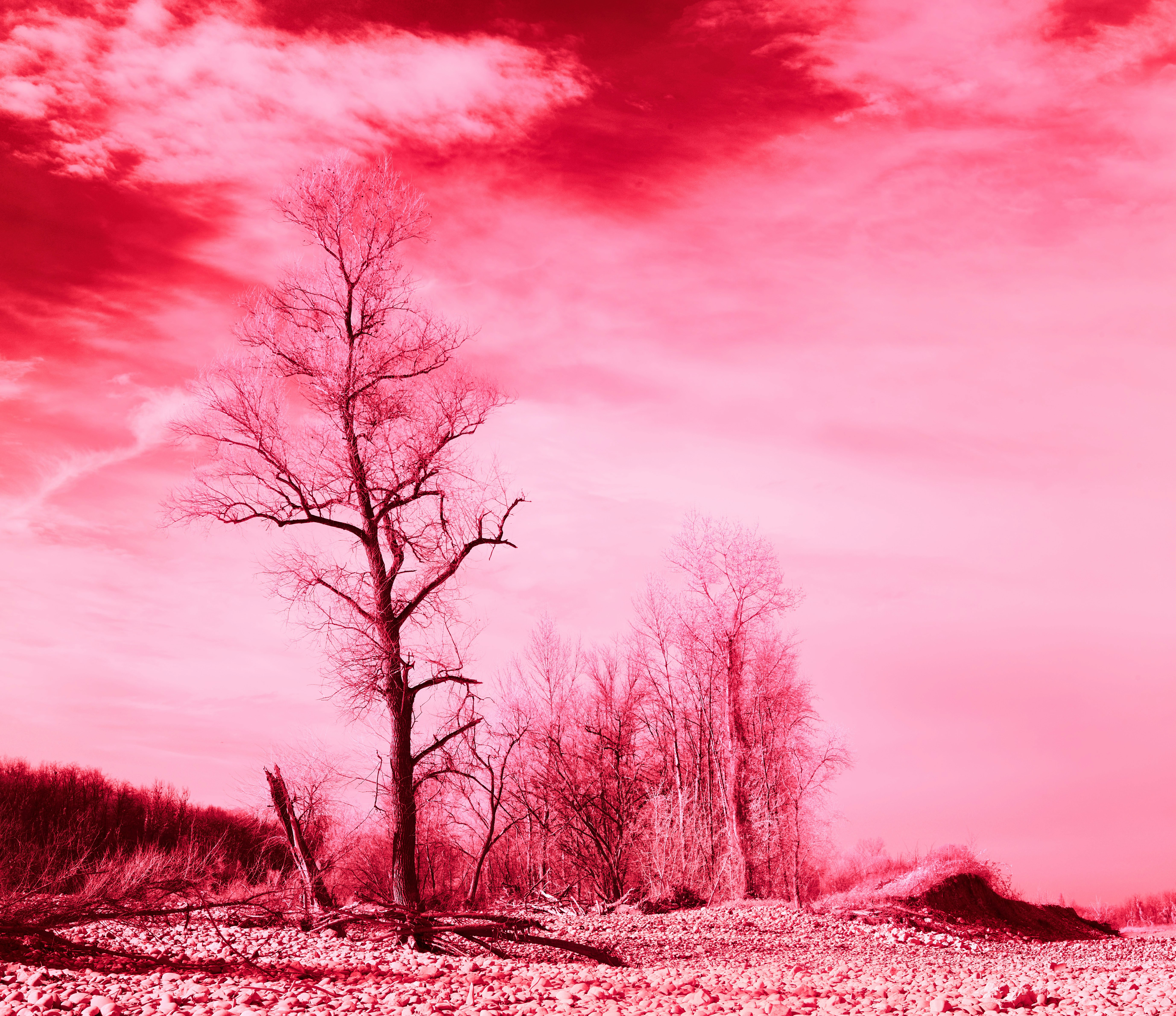 Photo by wolfgang_hasselmann