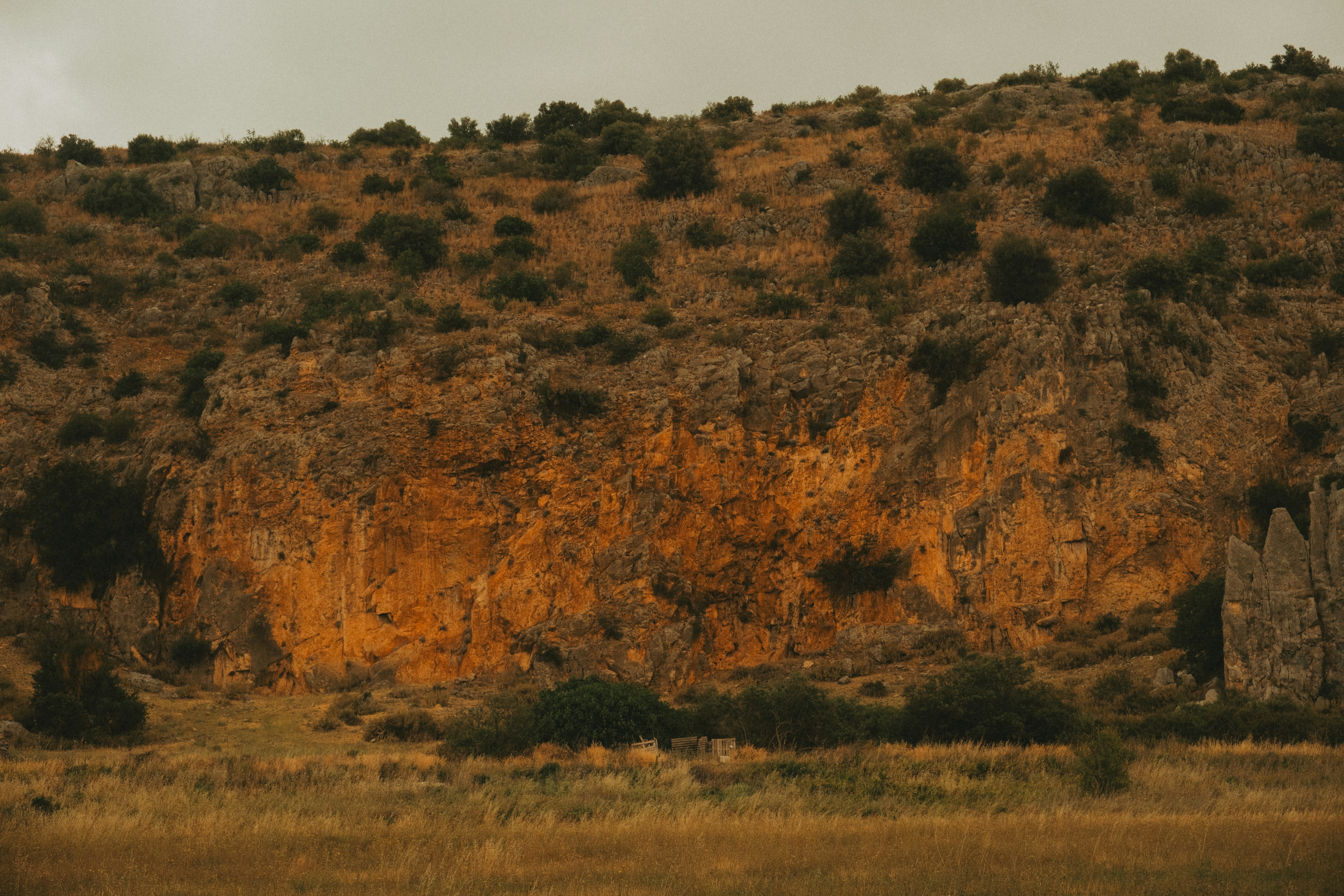 Photo by alexispresa