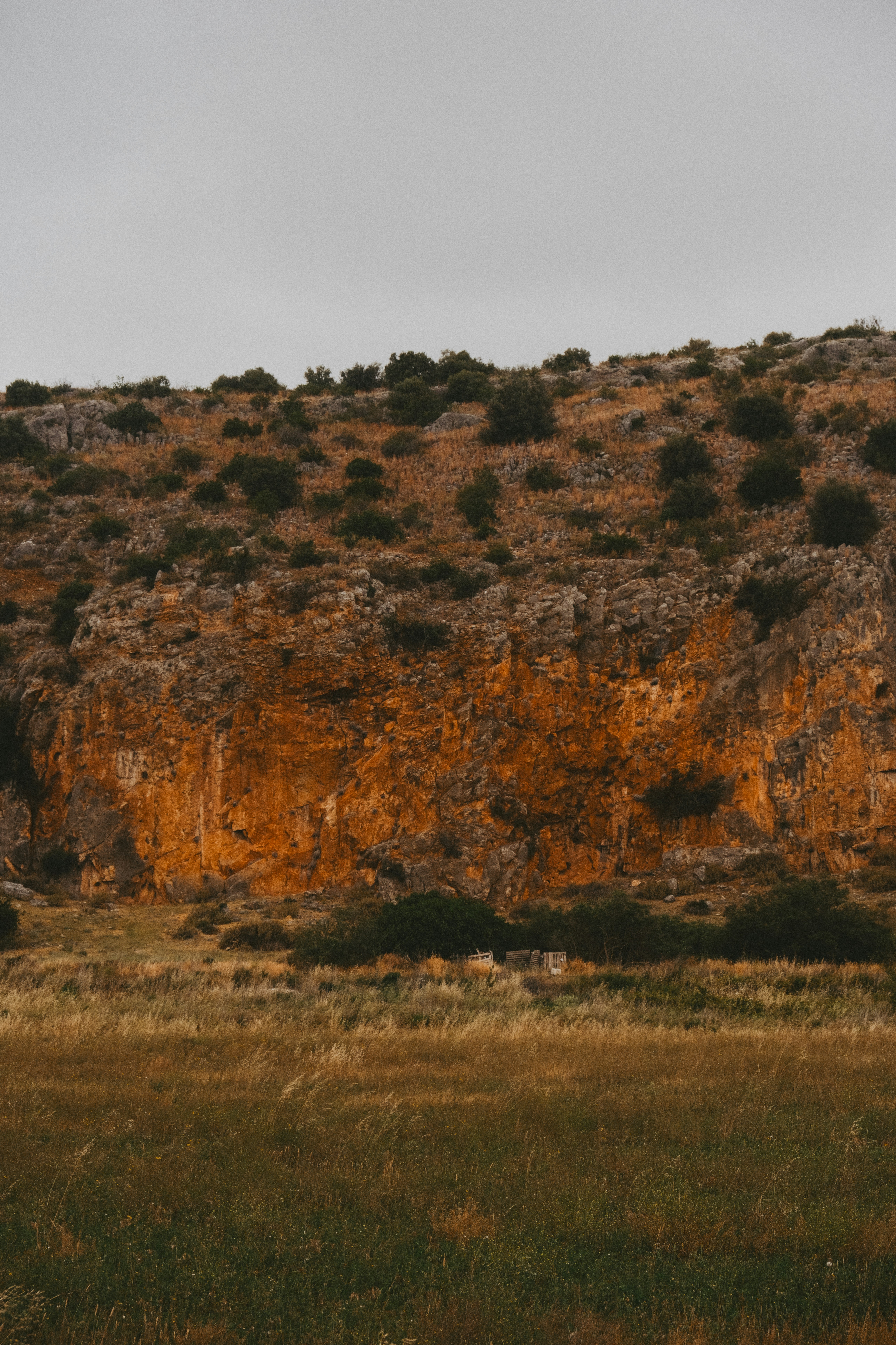 Photo by alexispresa