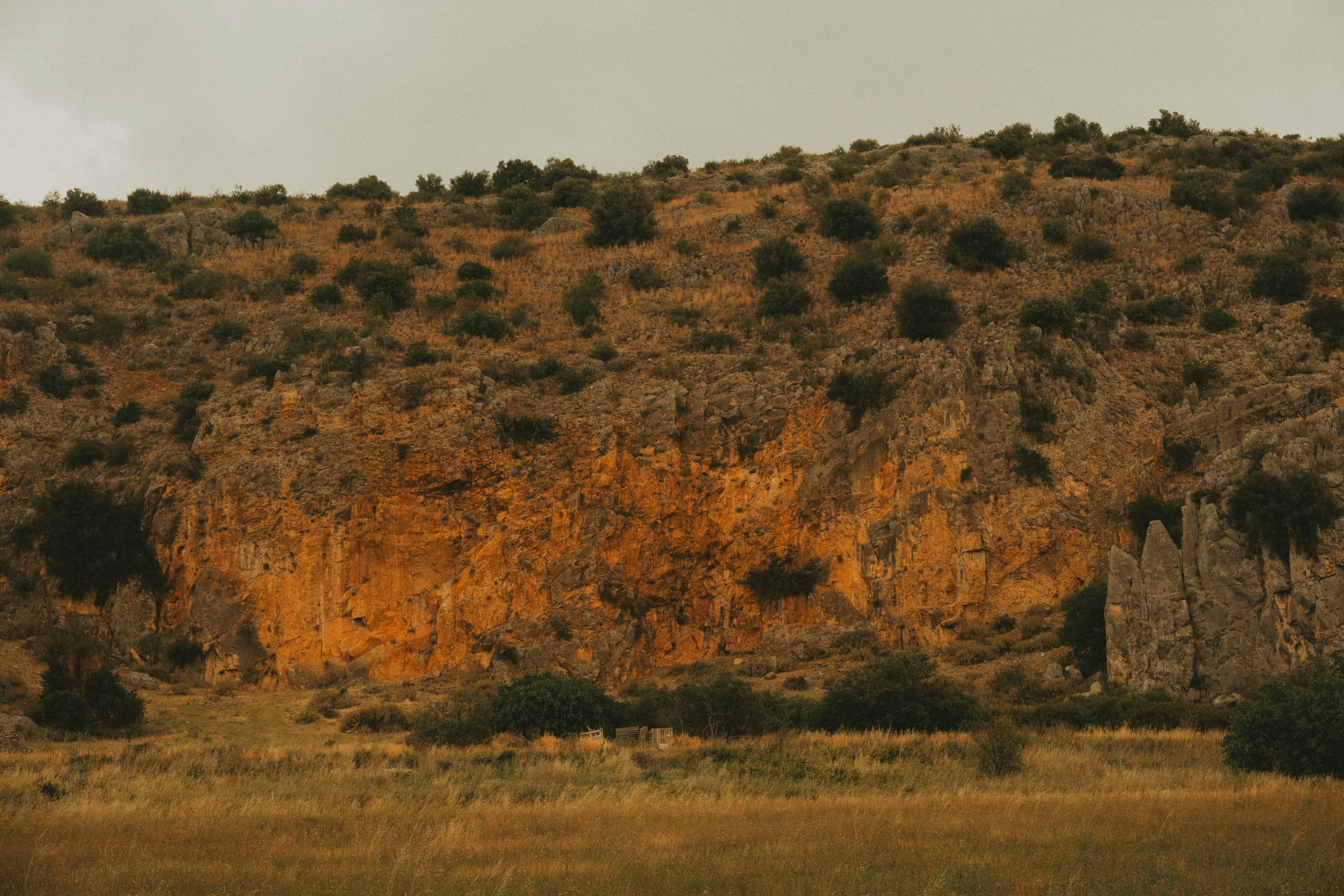 Photo by alexispresa