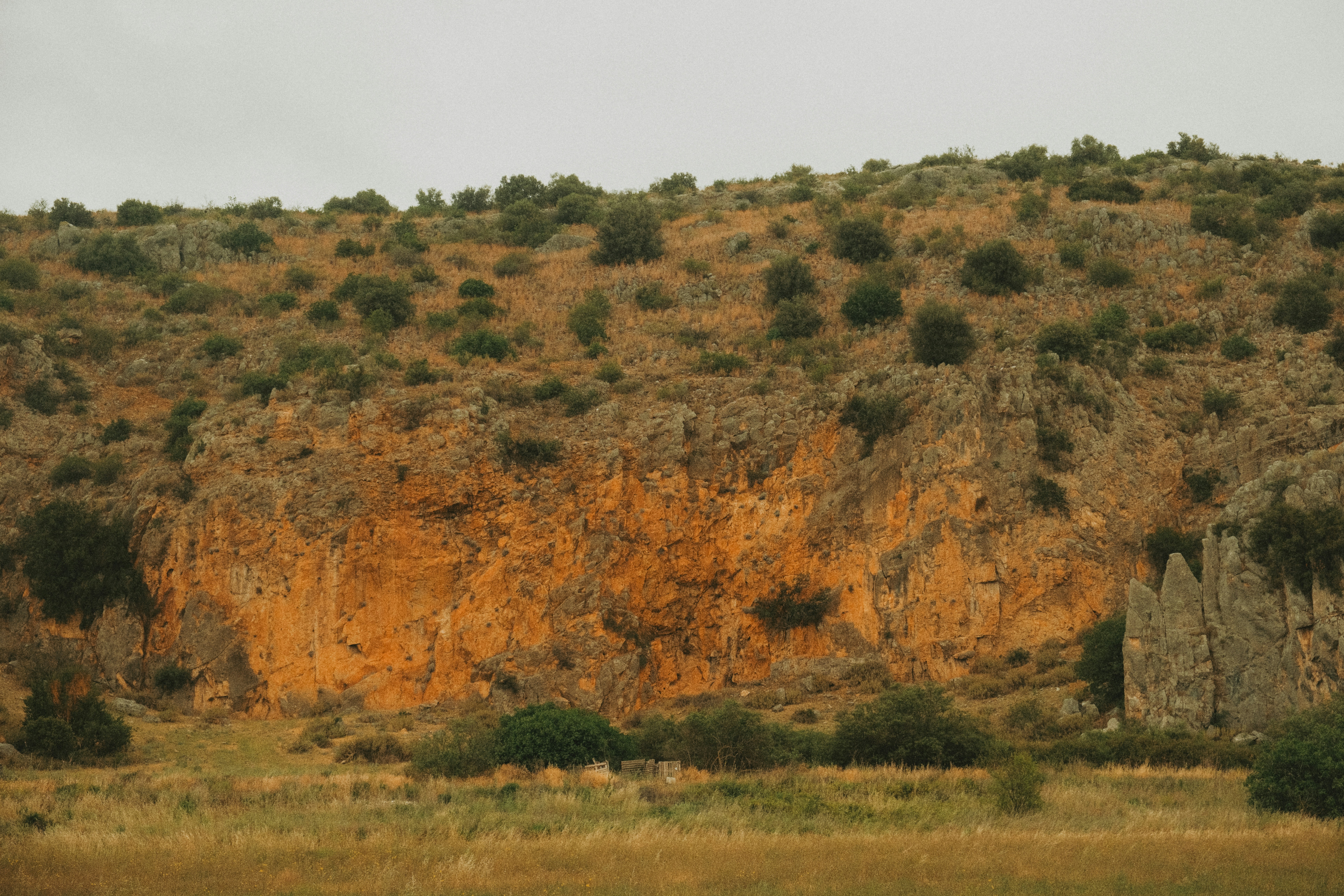 a horse grazing in a field next to a mountain