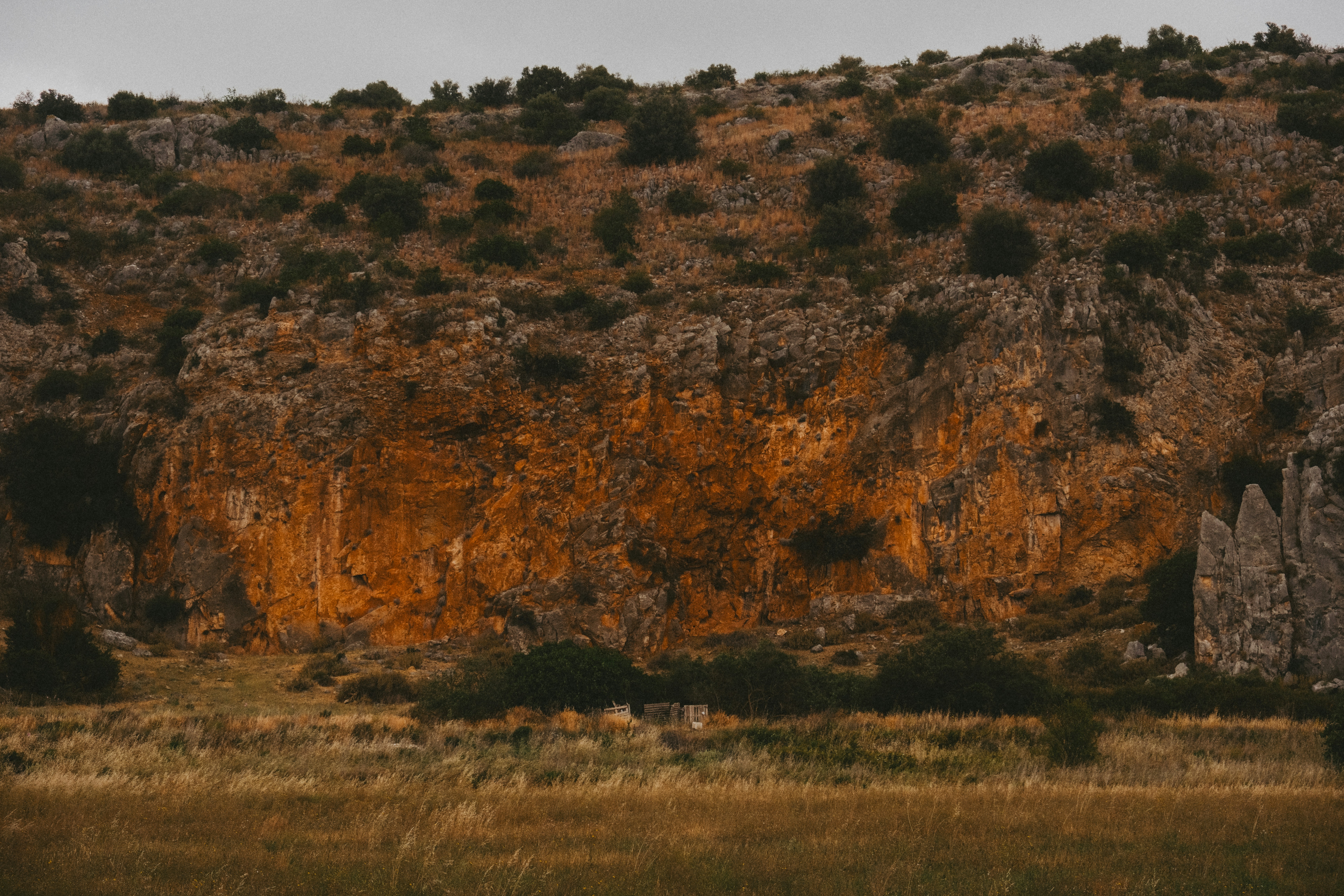 Photo by alexispresa